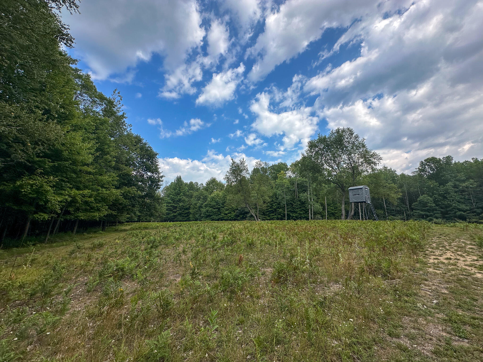10013 E Beal City Road Property Photo 5