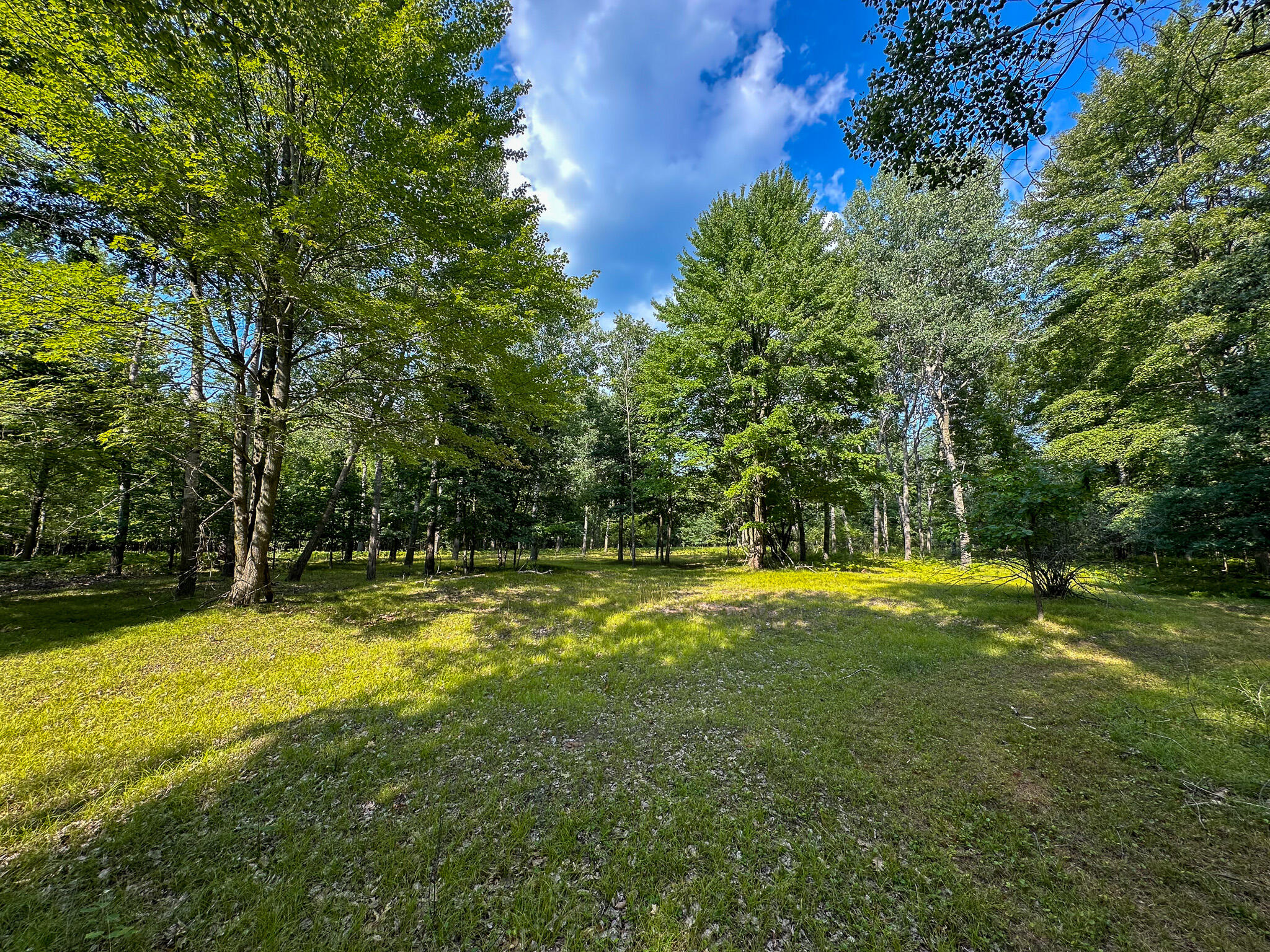 10013 E Beal City Road Property Photo 6