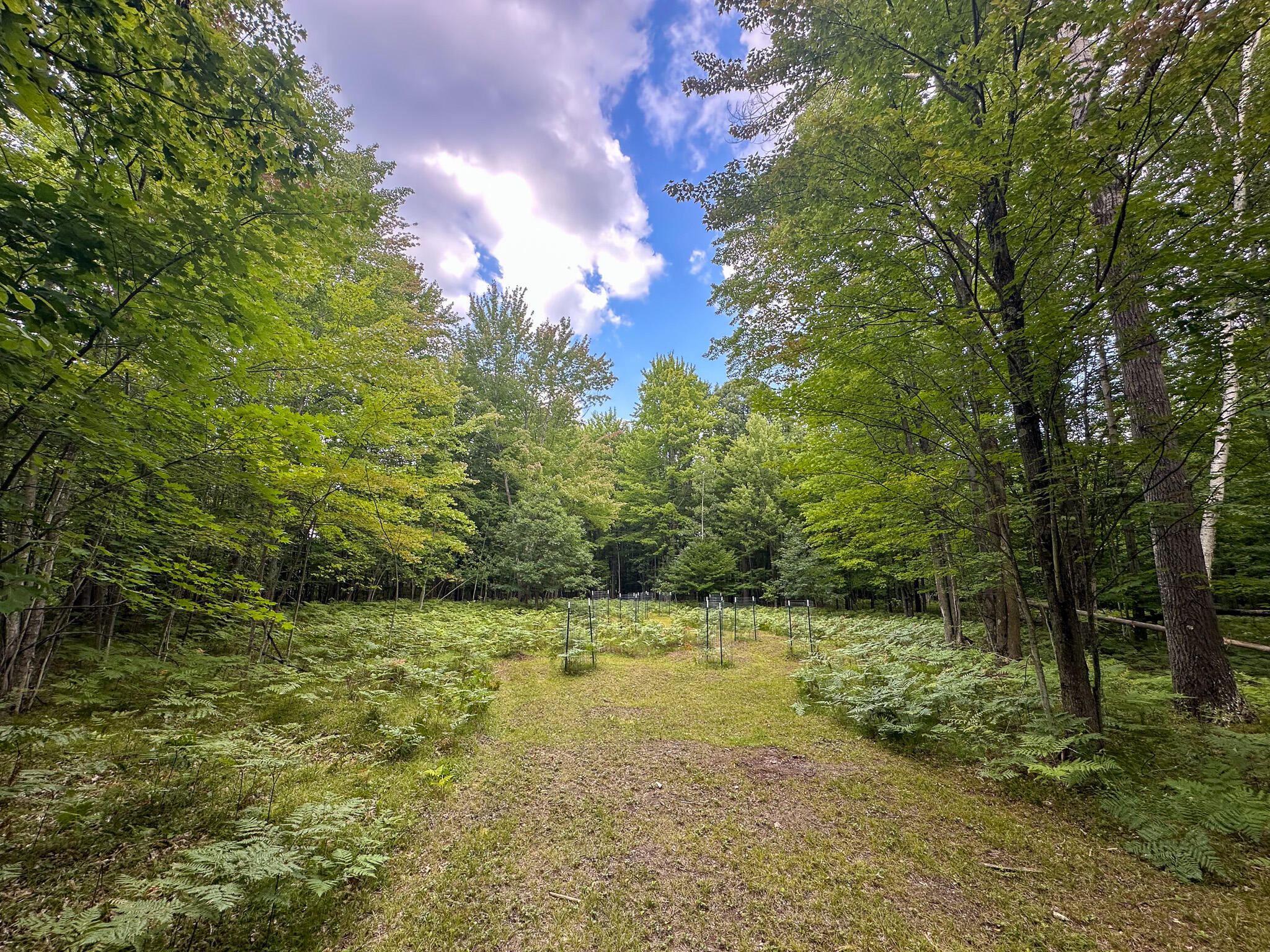 10013 E Beal City Road Property Photo 8
