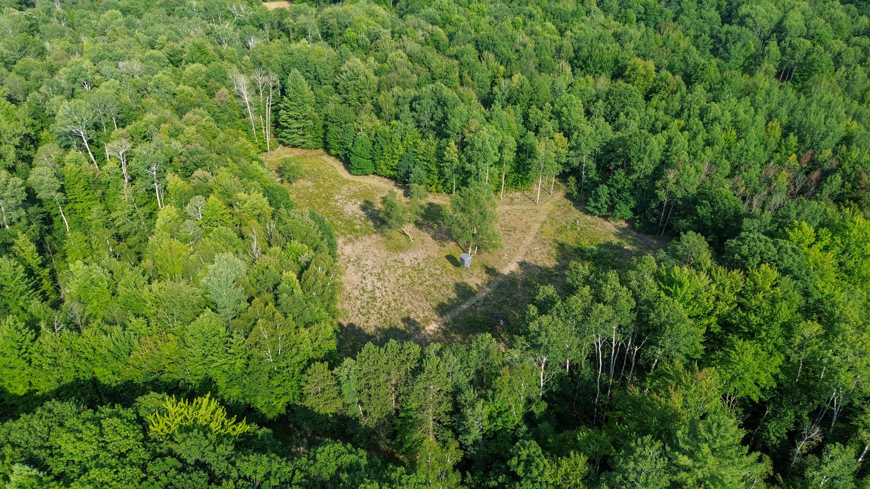 10013 E Beal City Road Property Photo 44