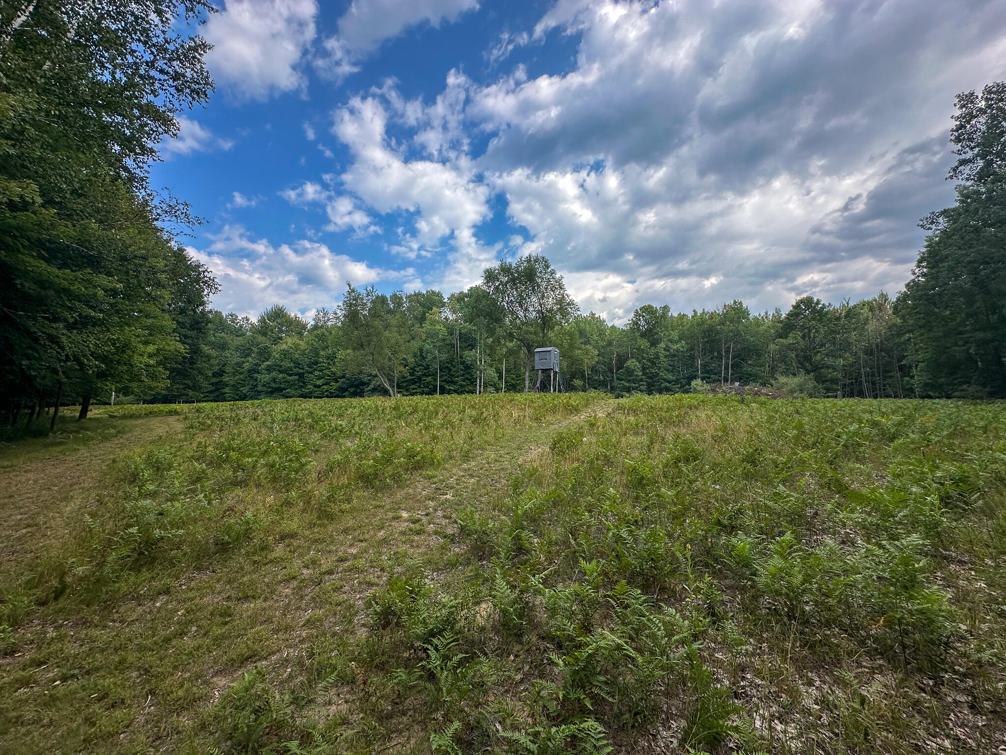 10013 E Beal City Road Property Photo 45