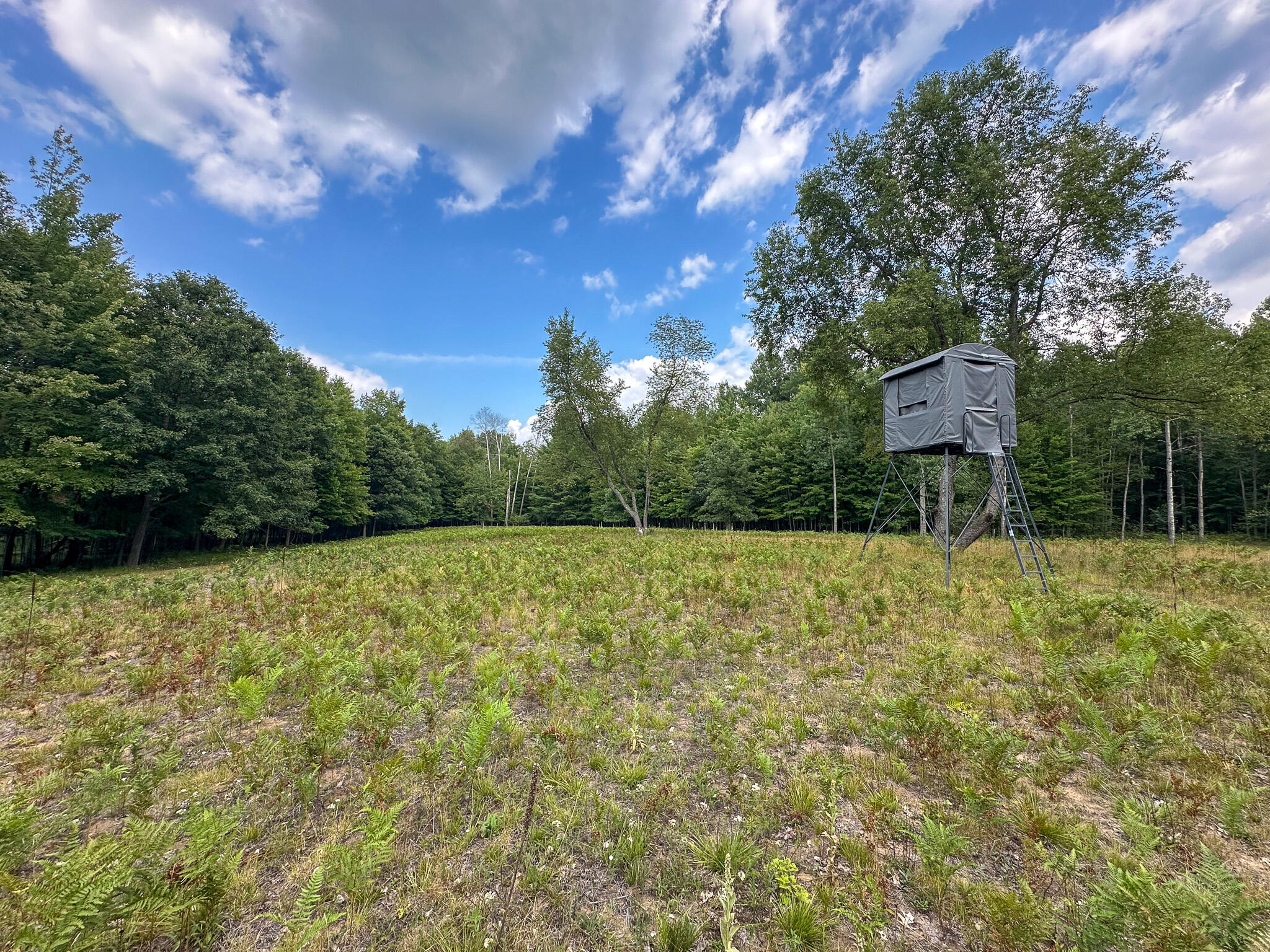 10013 E Beal City Road Property Photo 46
