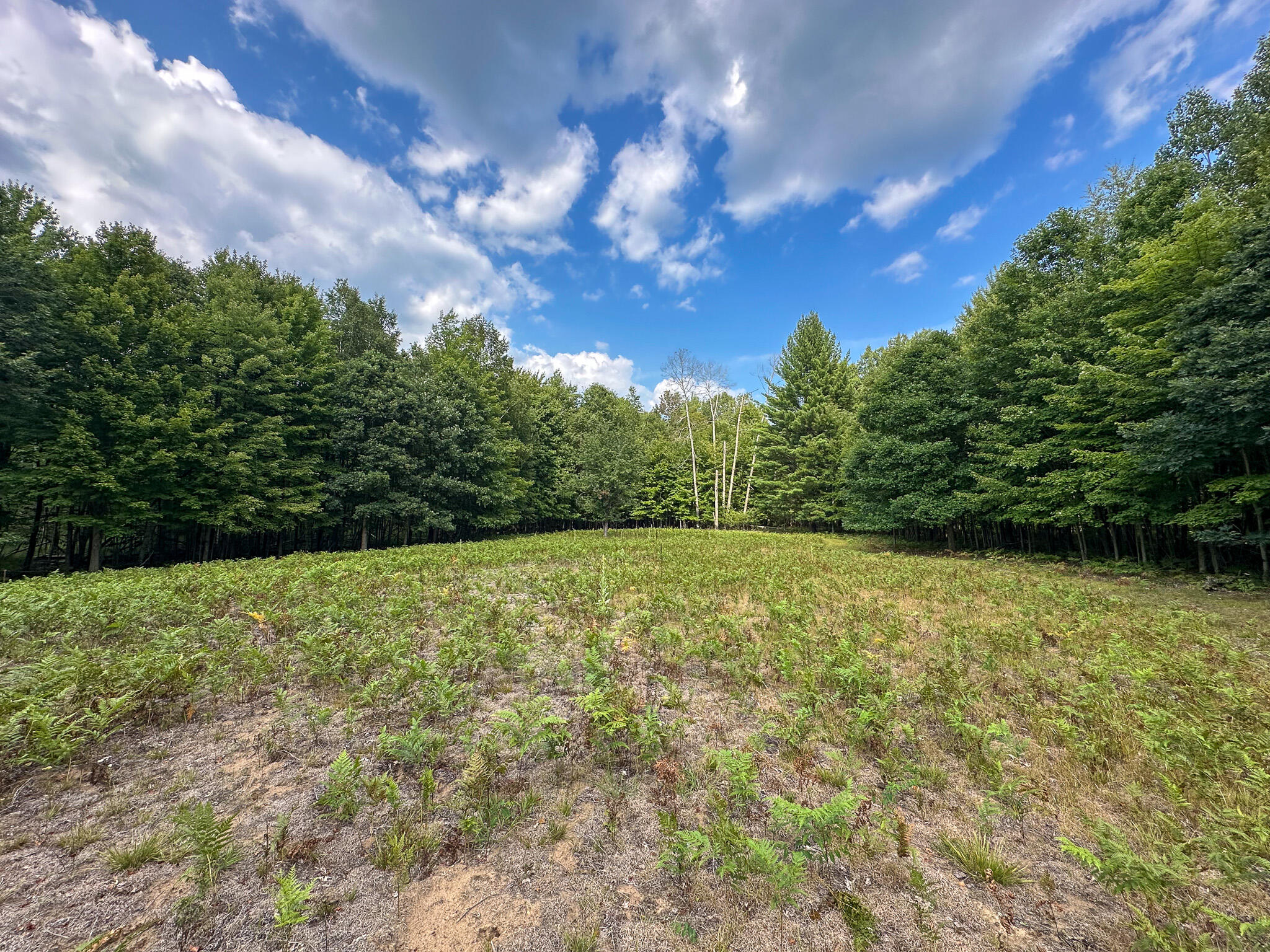 10013 E Beal City Road Property Photo 47