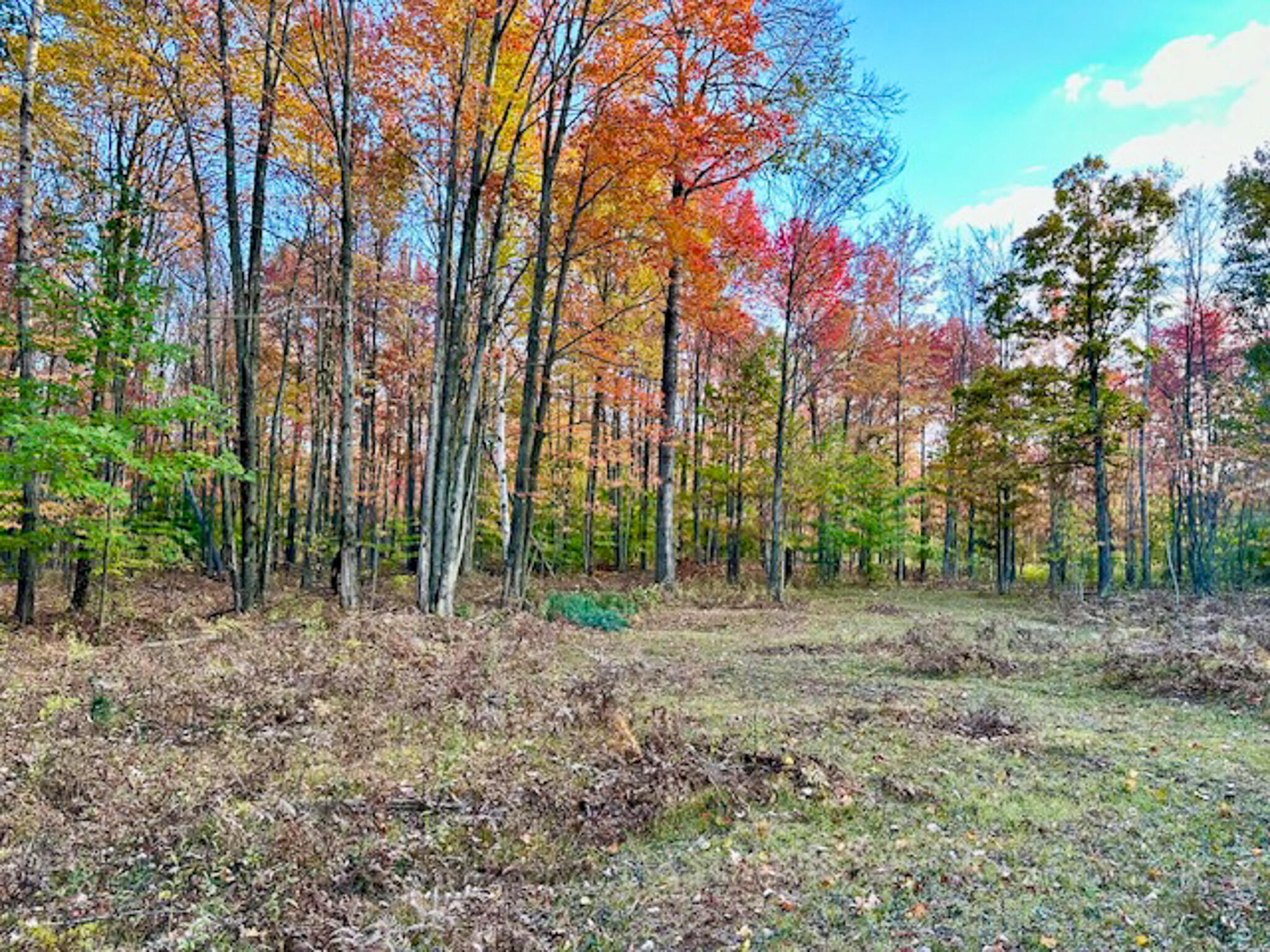 10013 E Beal City Road Property Photo 48