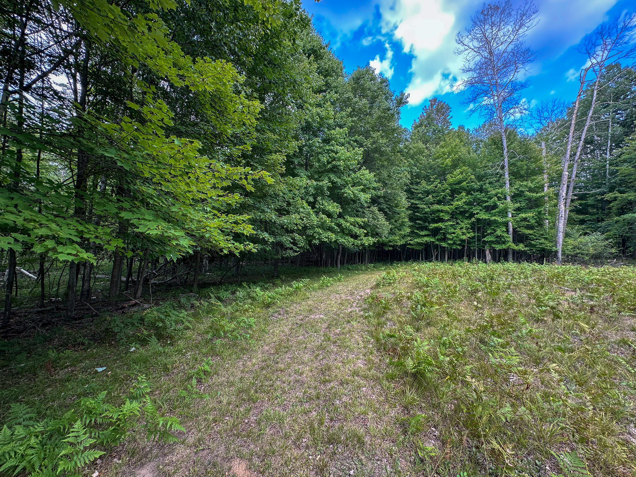 10013 E Beal City Road Property Photo 49