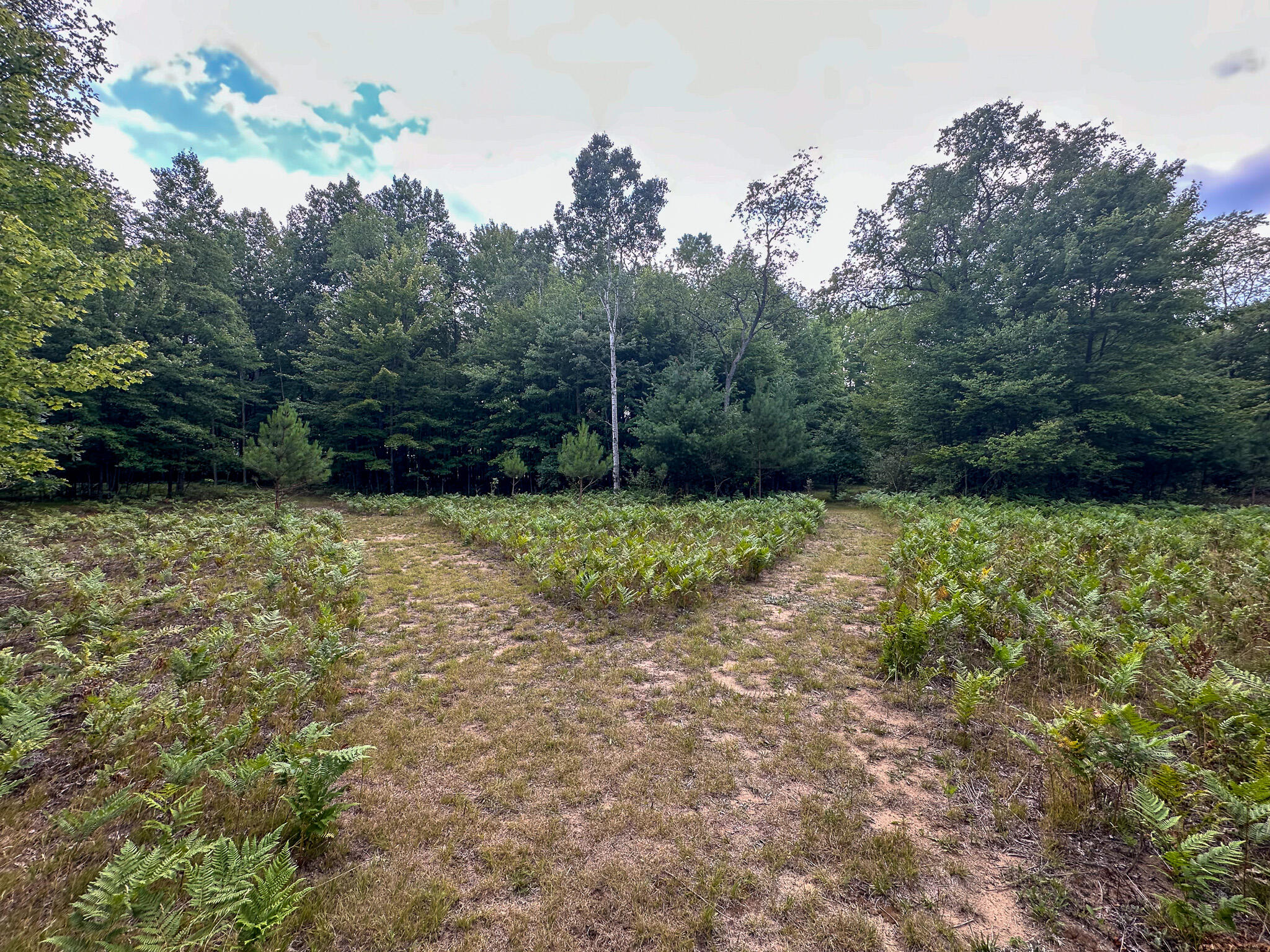 10013 E Beal City Road Property Photo 50