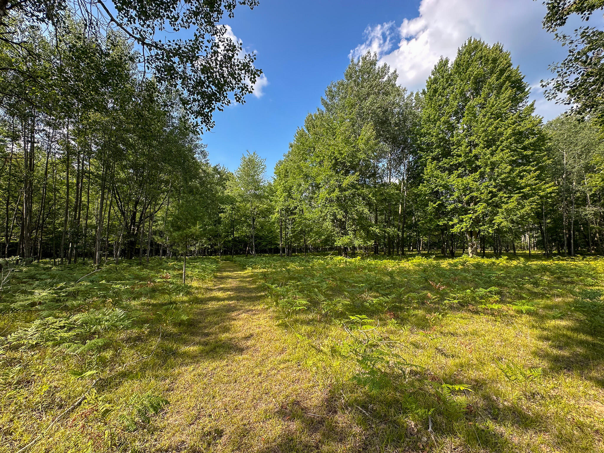 10013 E Beal City Road Property Photo 53