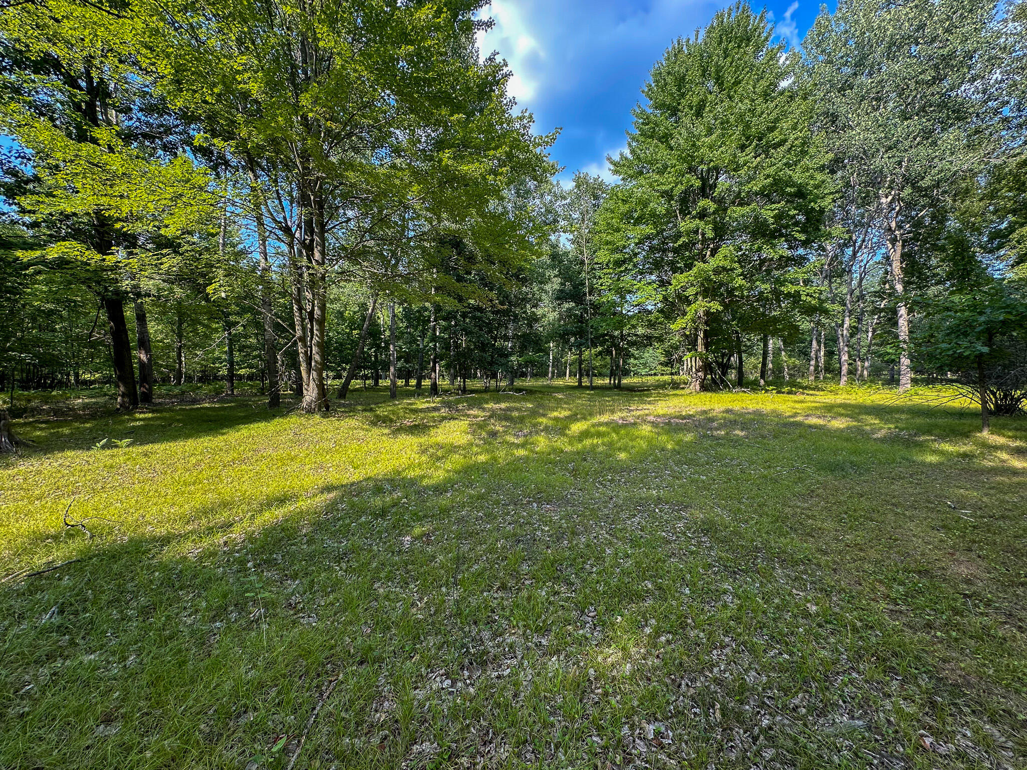 10013 E Beal City Road Property Photo 54