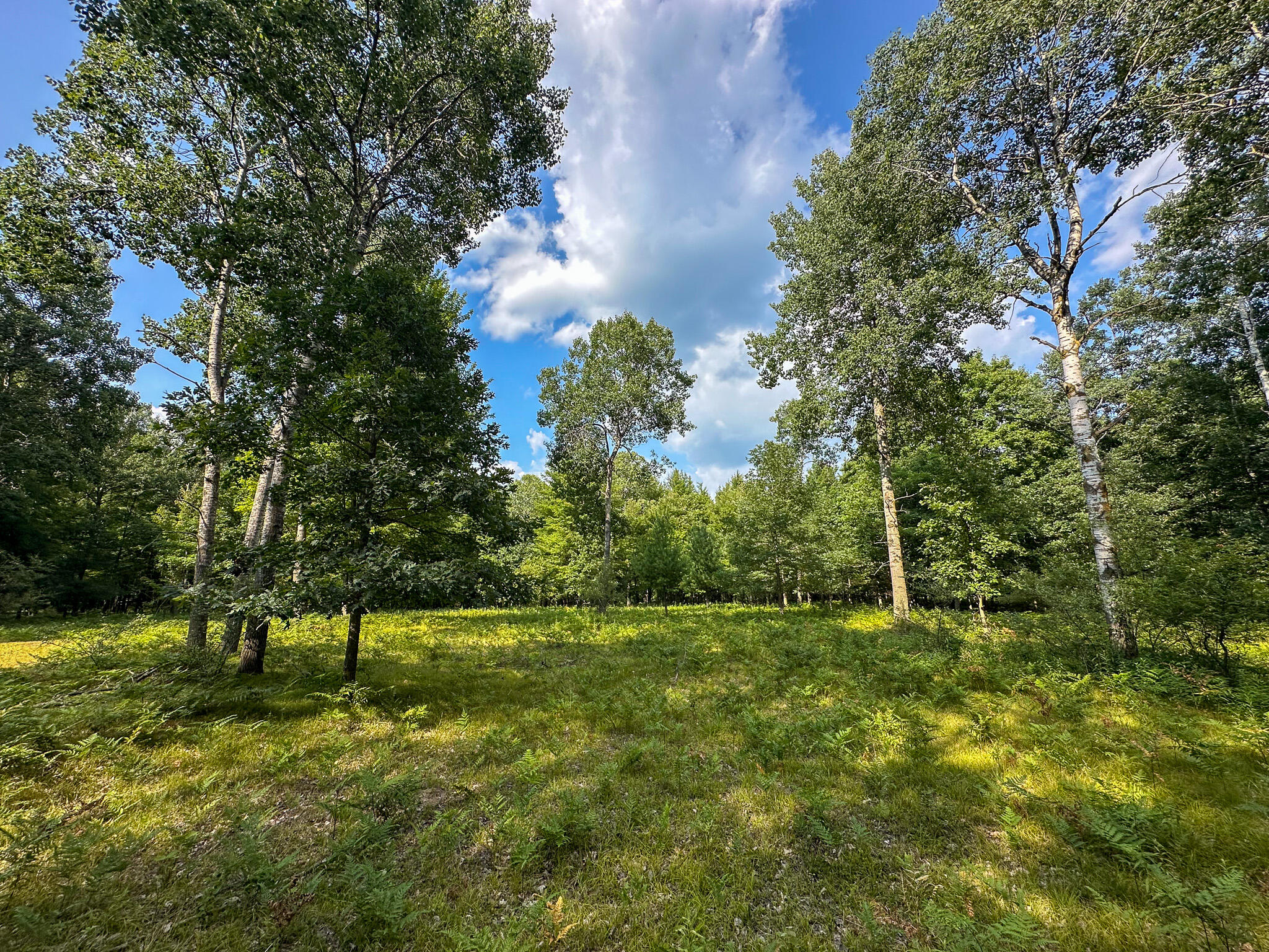 10013 E Beal City Road Property Photo 55