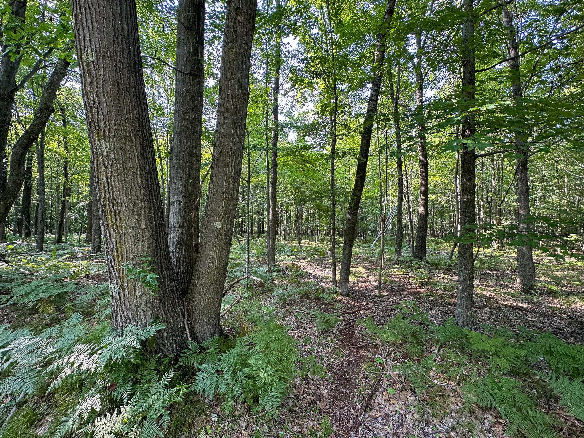 10013 E Beal City Road Property Photo 56