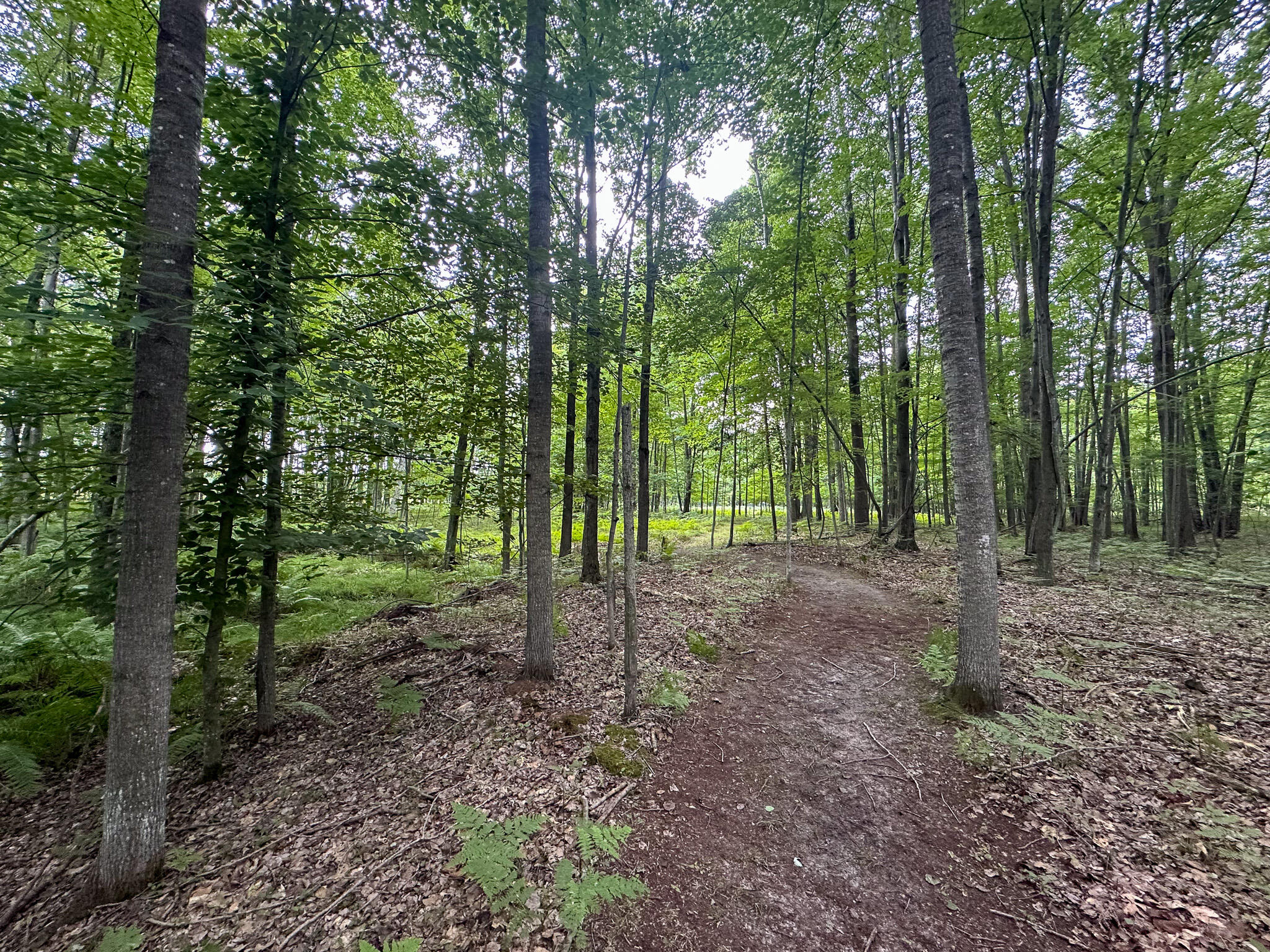 10013 E Beal City Road Property Photo 57
