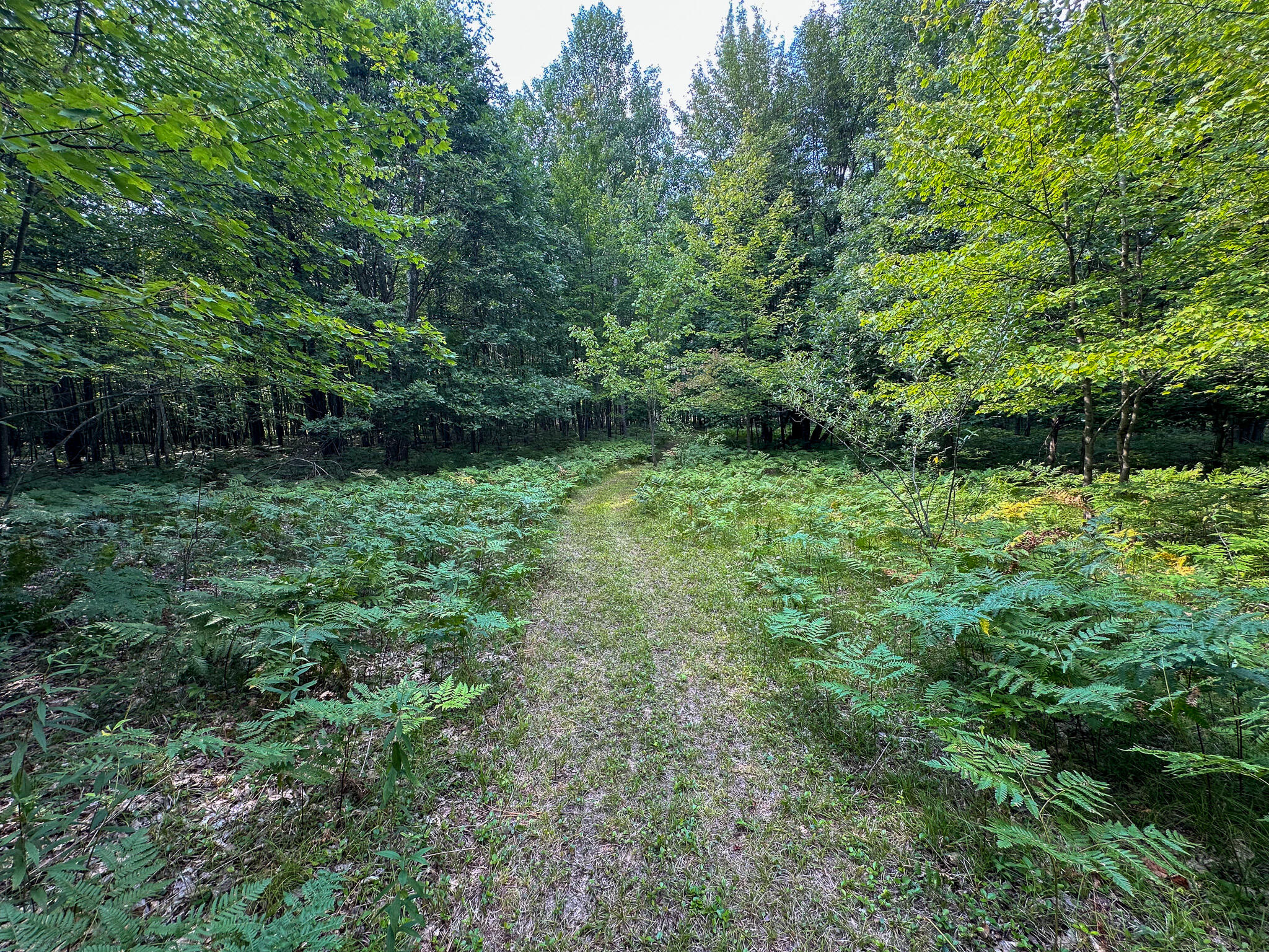 10013 E Beal City Road Property Photo 58