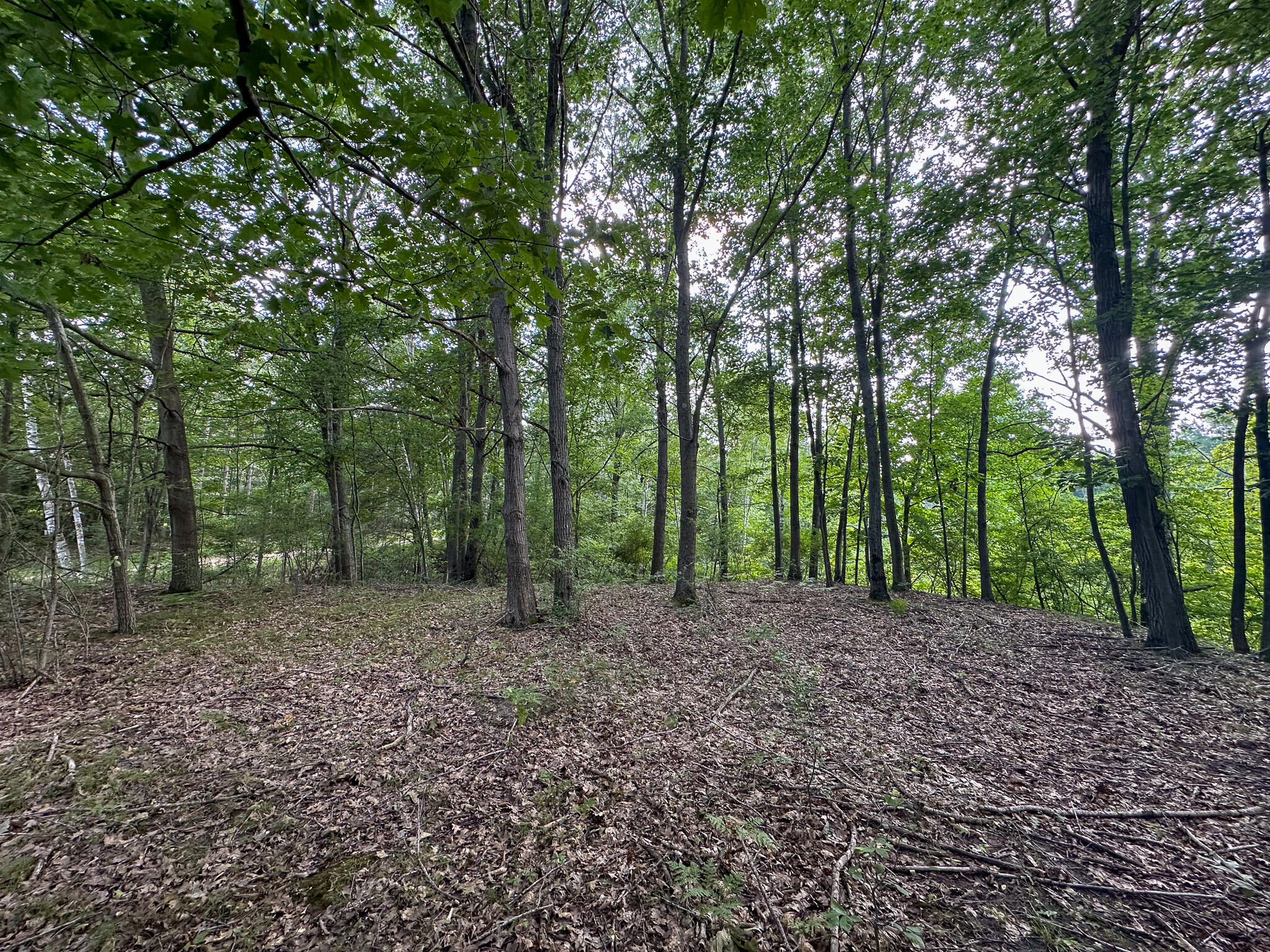 10013 E Beal City Road Property Photo 59