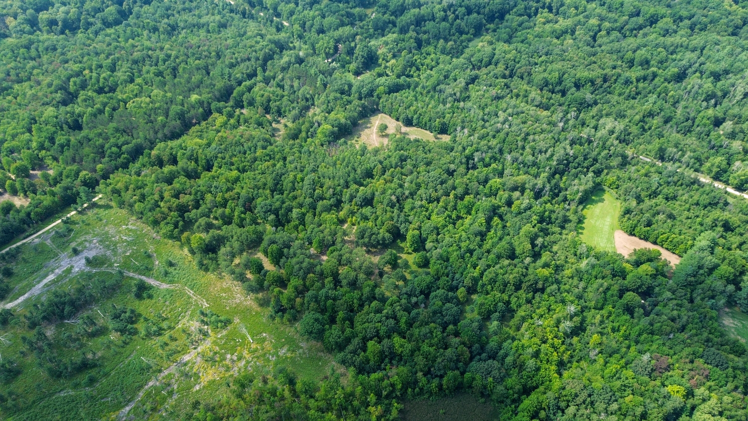 10013 E Beal City Road Property Photo 69