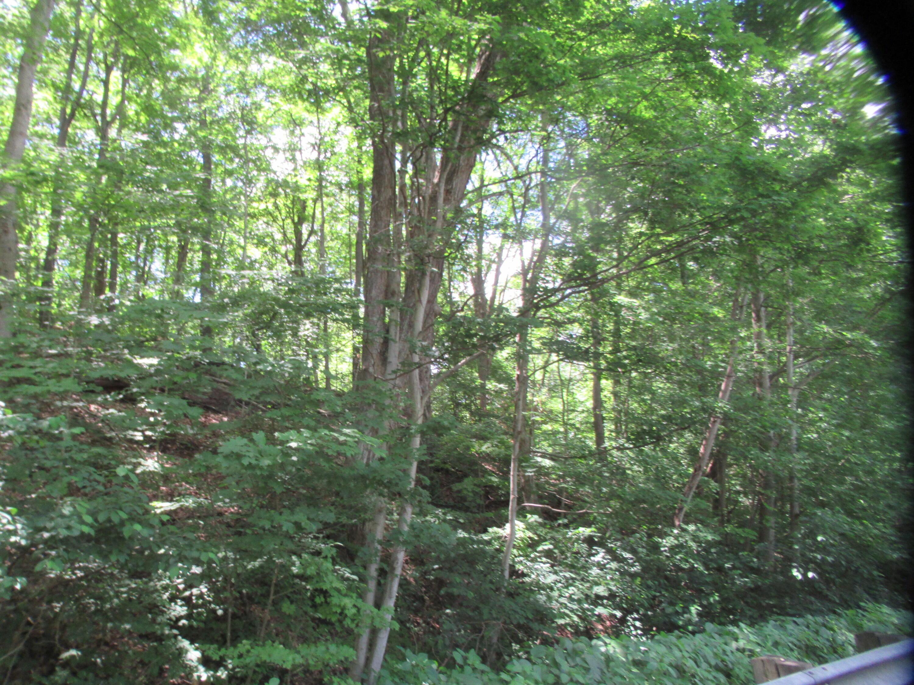 Red Bud Trail N Property Photo 1