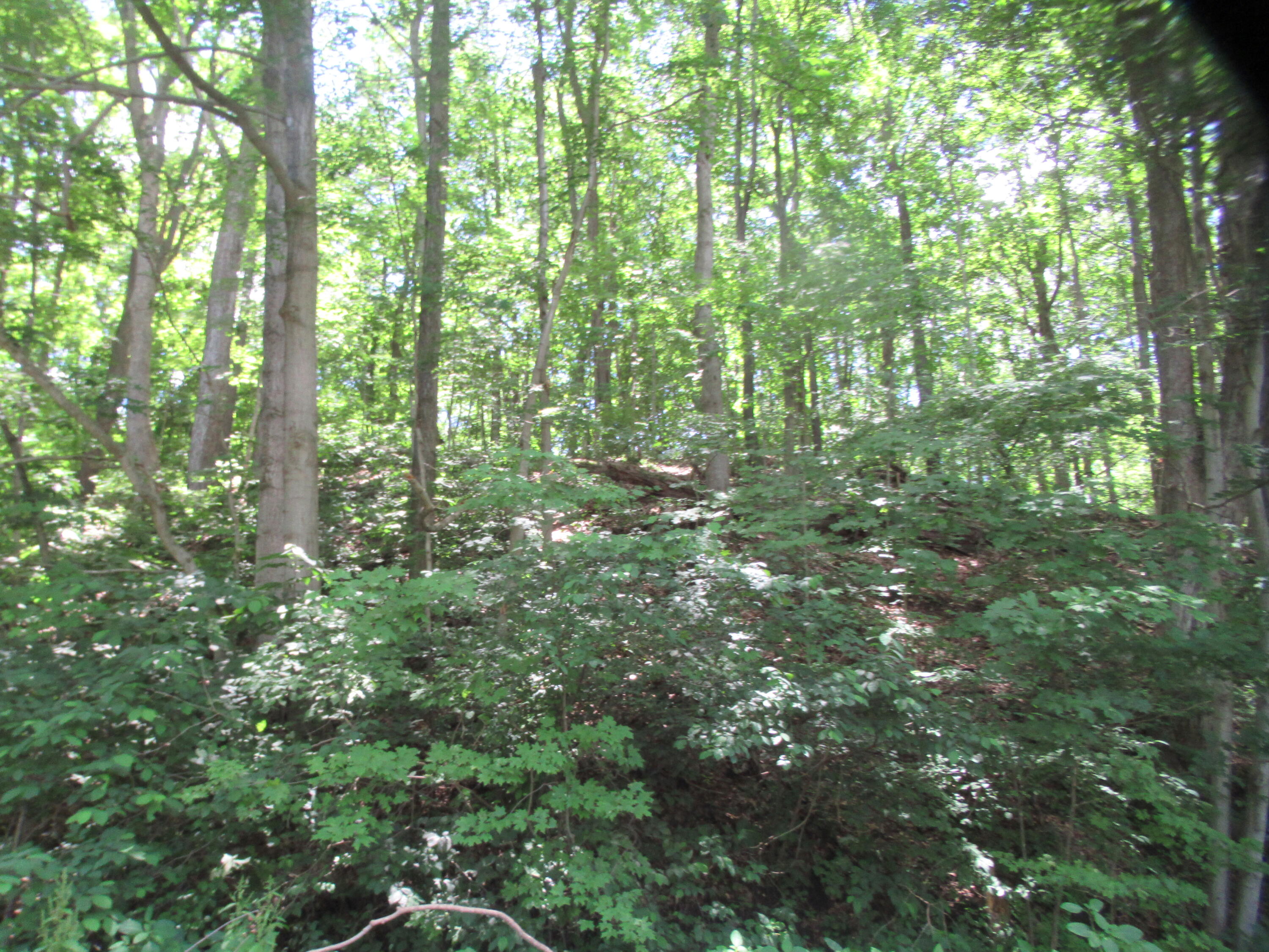 Red Bud Trail N Property Photo 2