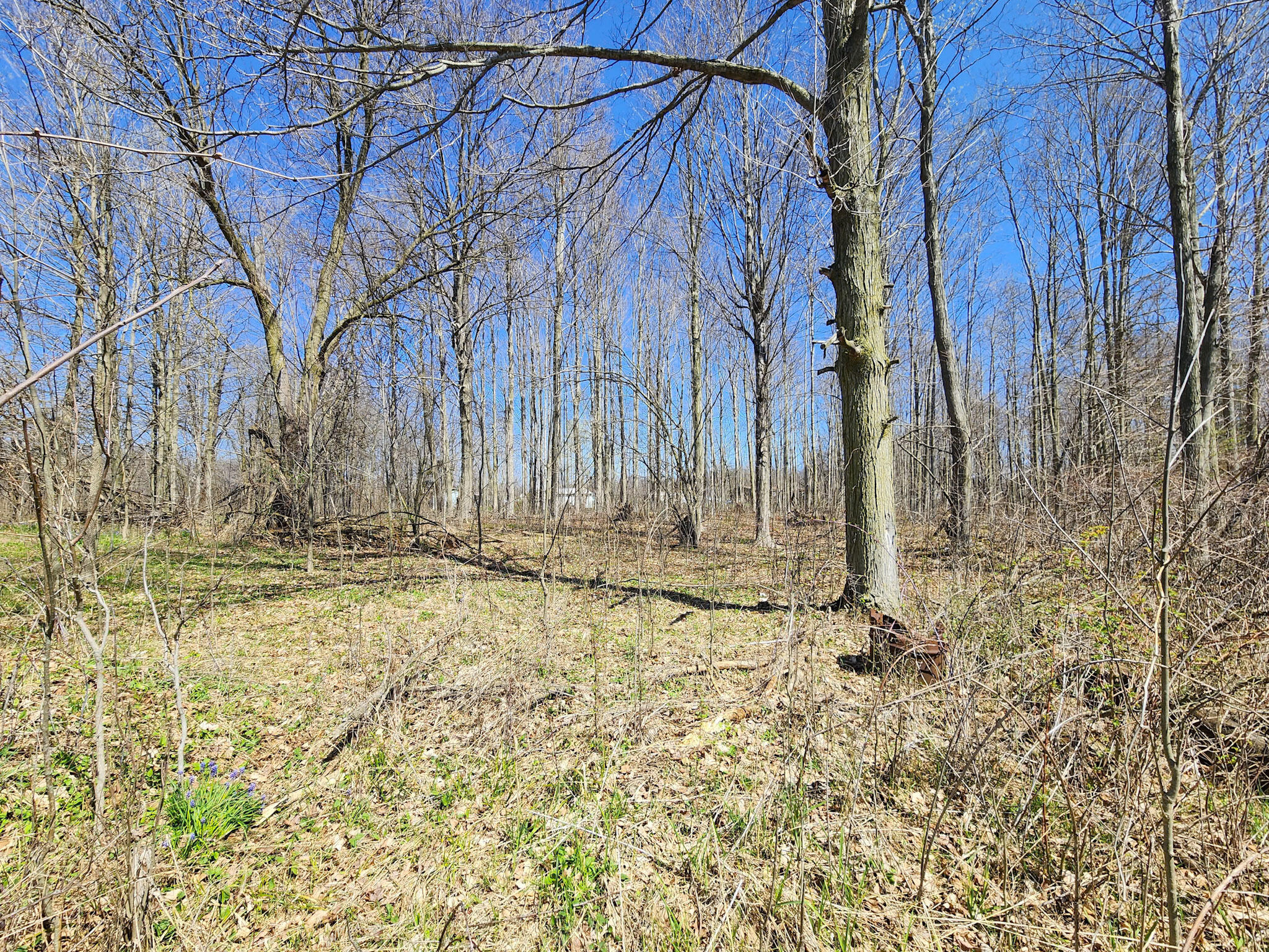 265 W Pearl Road Property Photo 38