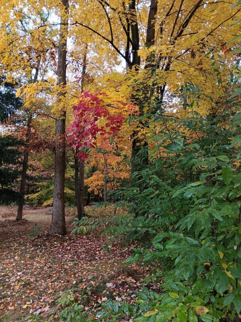 8270 Sheridan Street Property Photo 55