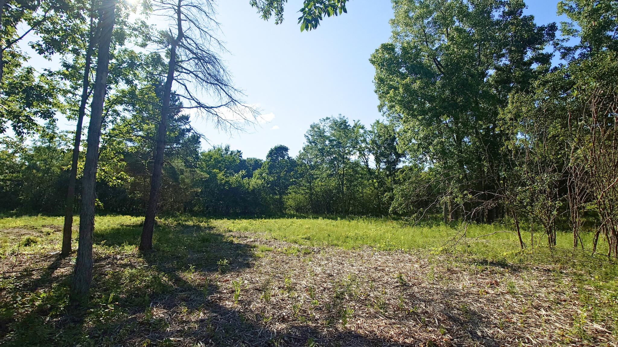 2897 Bateson Court Property Photo 1