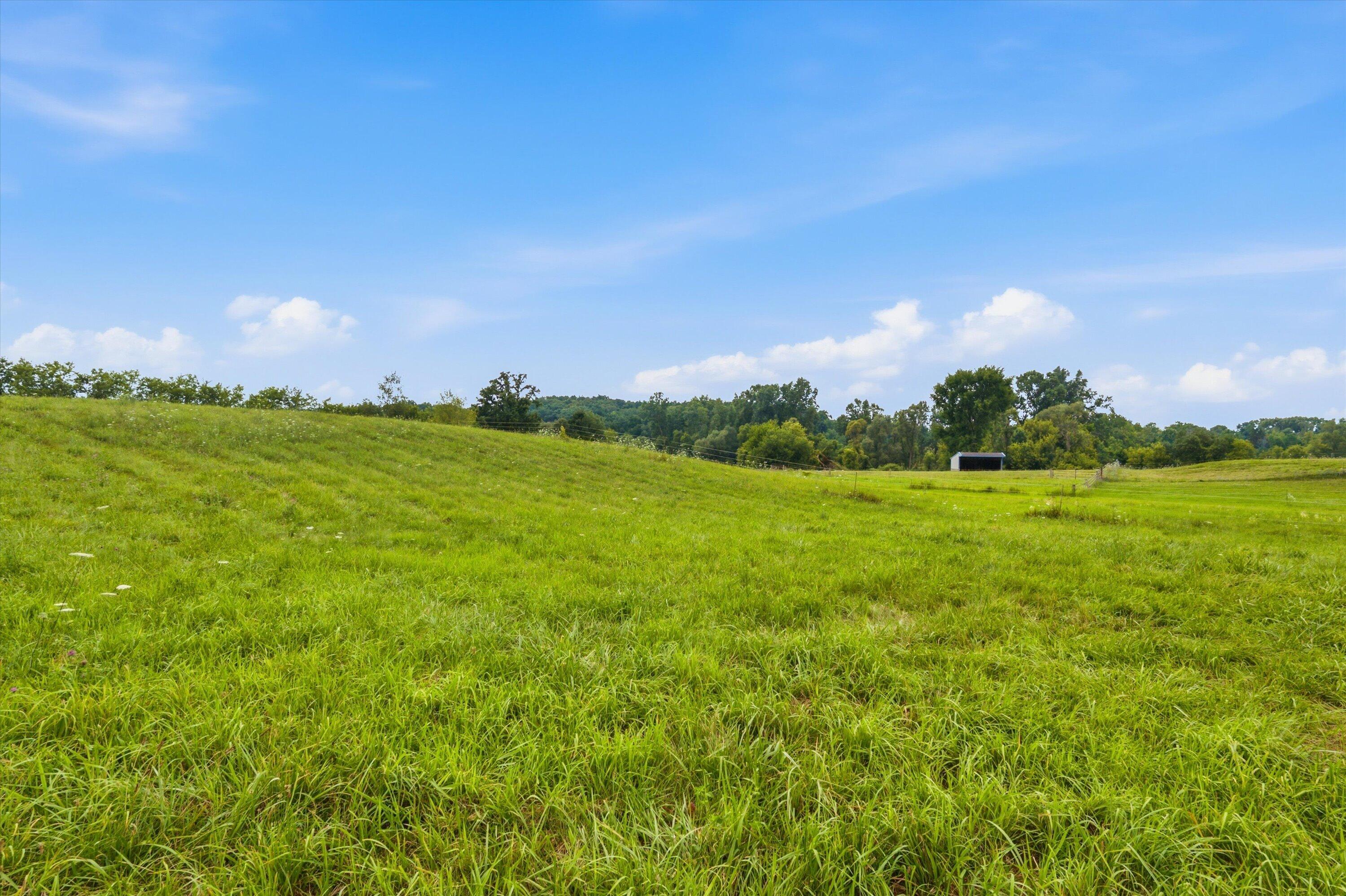 7310 Steinbach Road Property Photo 46