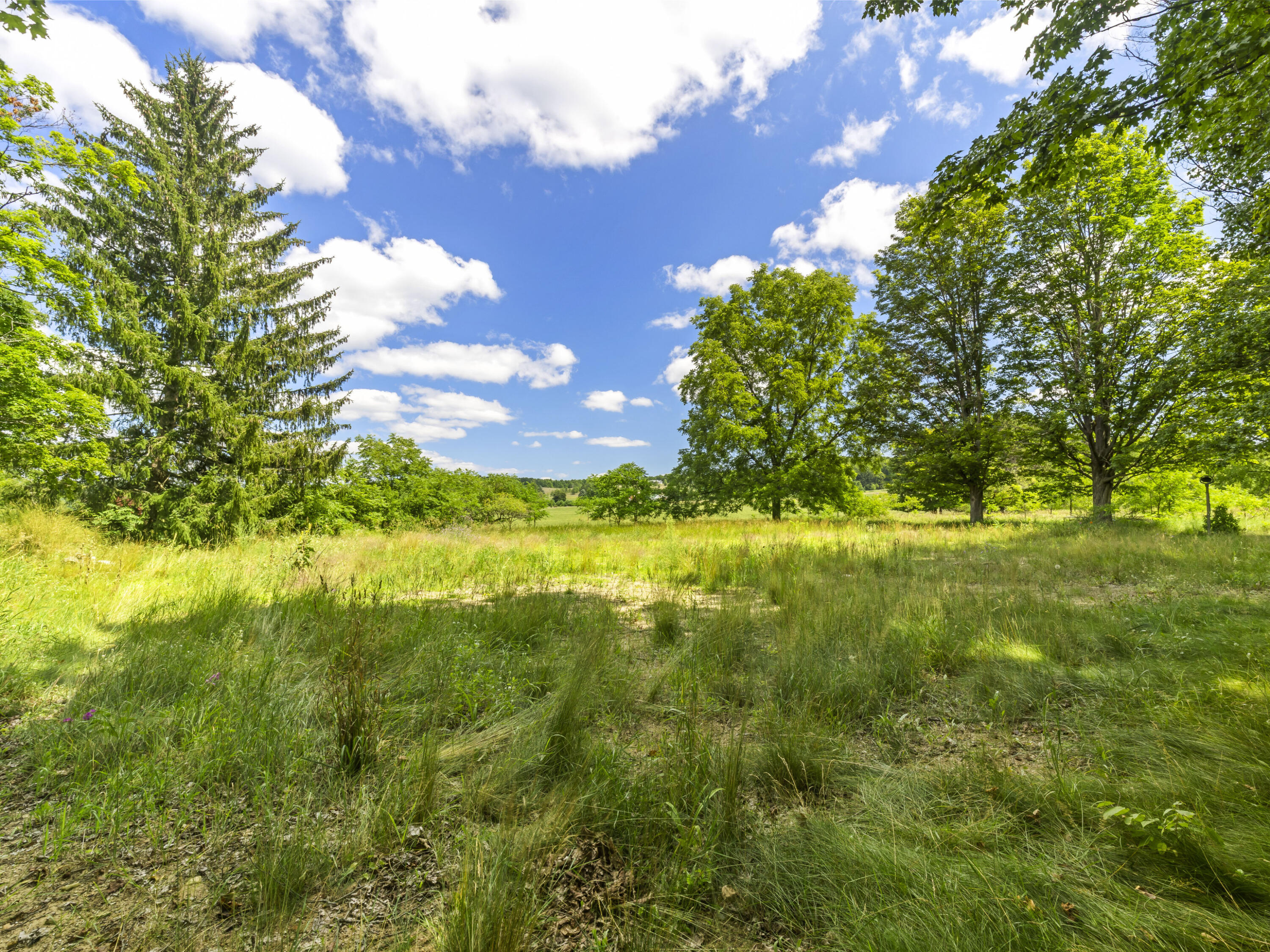 16743 Marilla Road Property Photo 7
