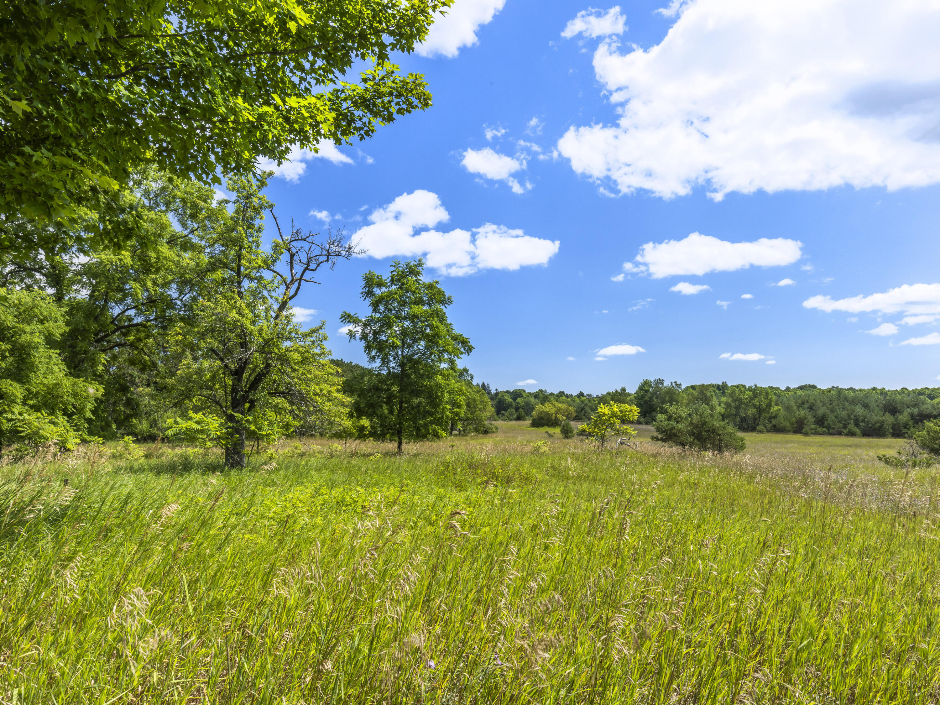 16743 Marilla Road Property Photo 9