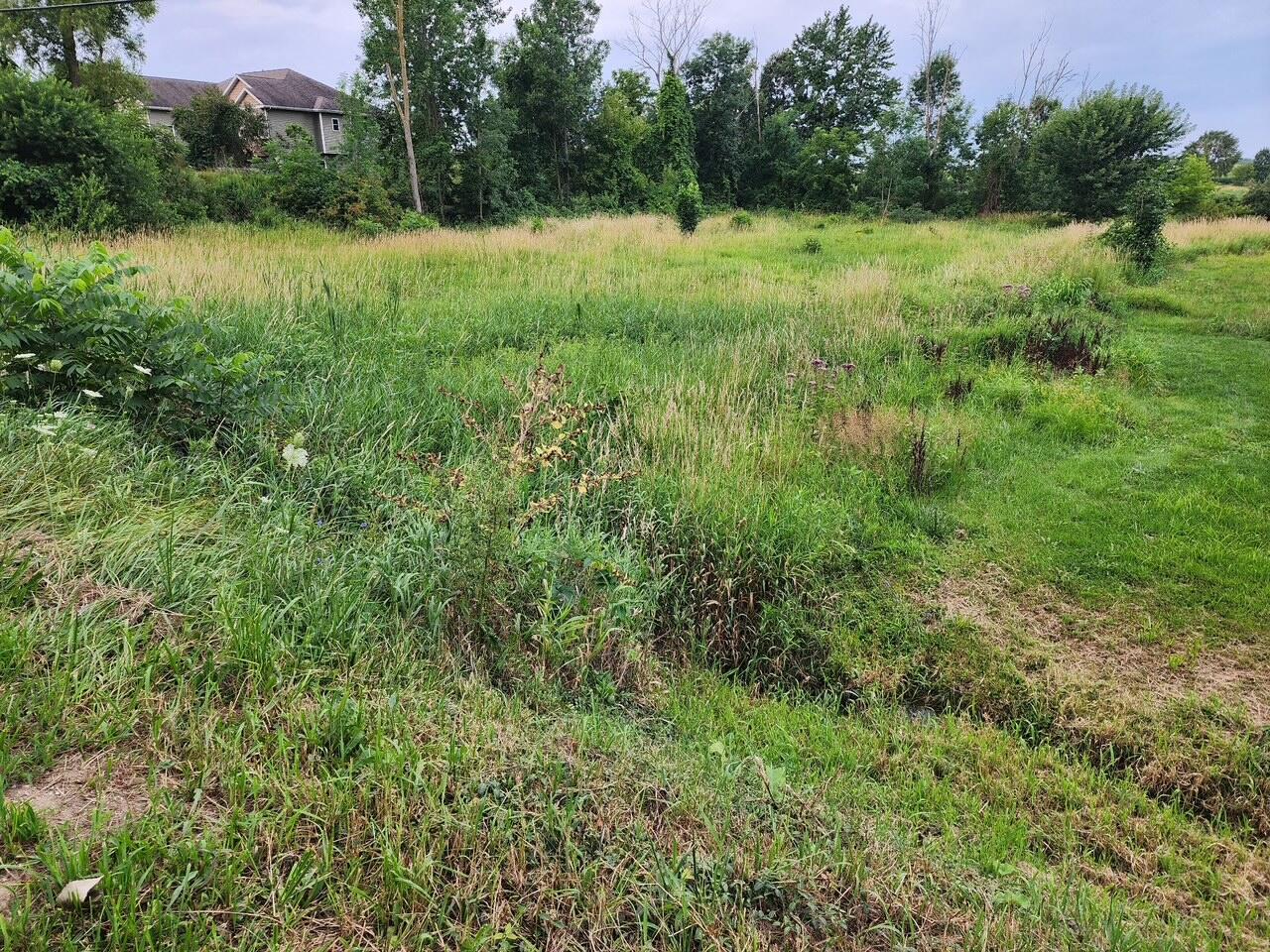 V/l 24th Avenue Property Photo 2