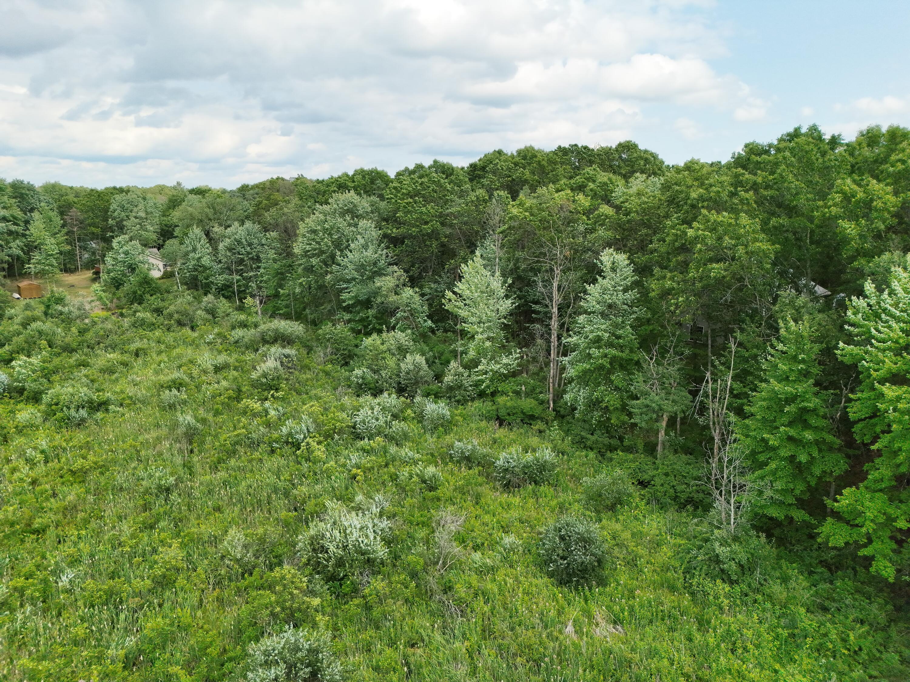 12304 Lappley Avenue Ne Property Photo 9