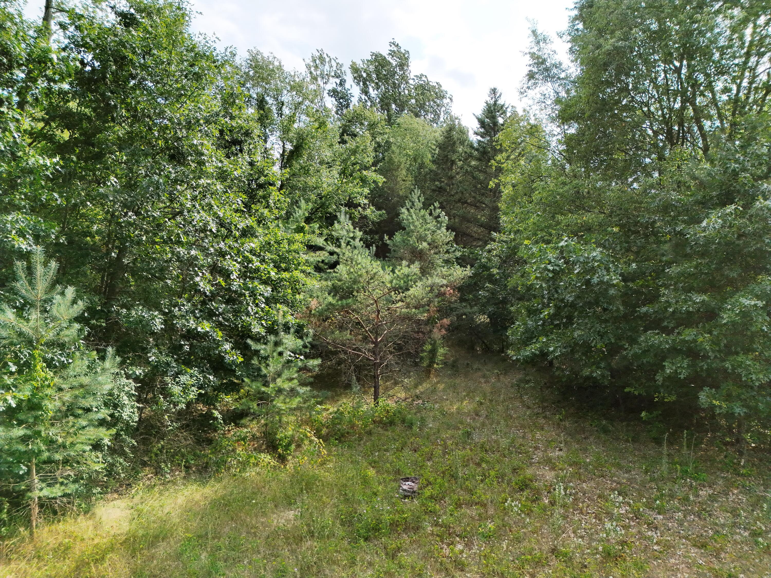 12304 Lappley Avenue Ne Property Photo 12