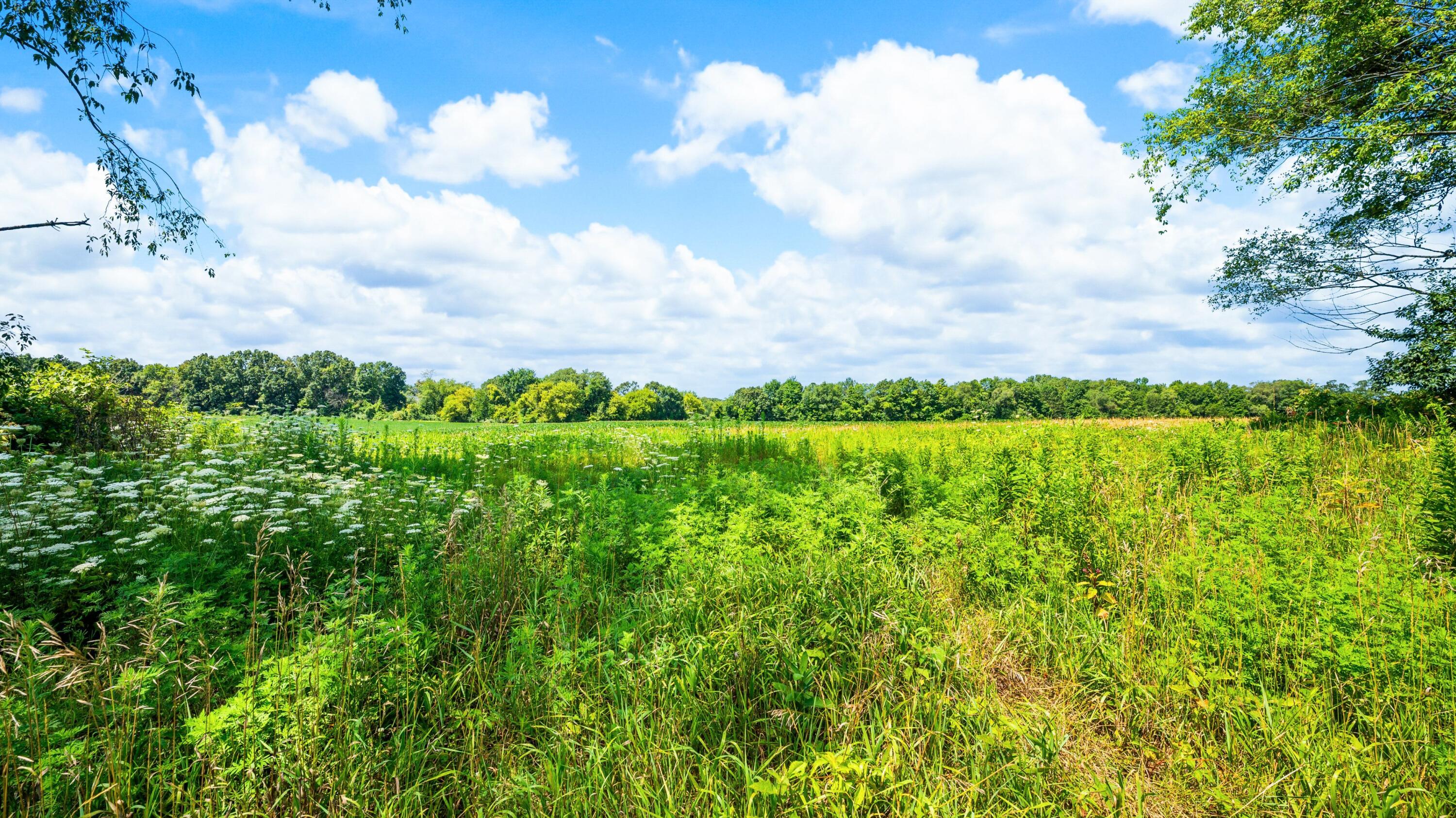 12753 Bliss Road Property Photo 34