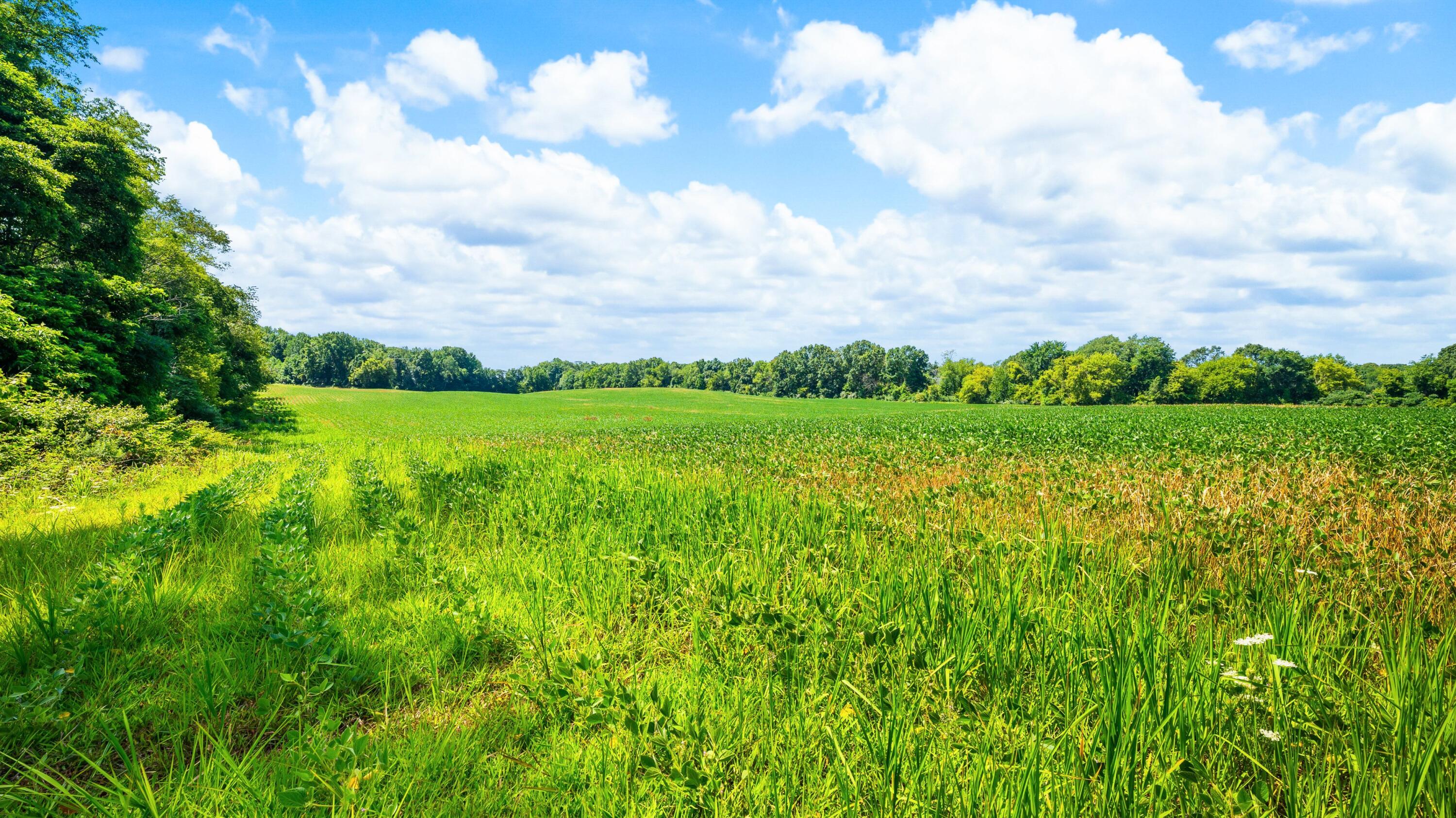12753 Bliss Road Property Photo 35