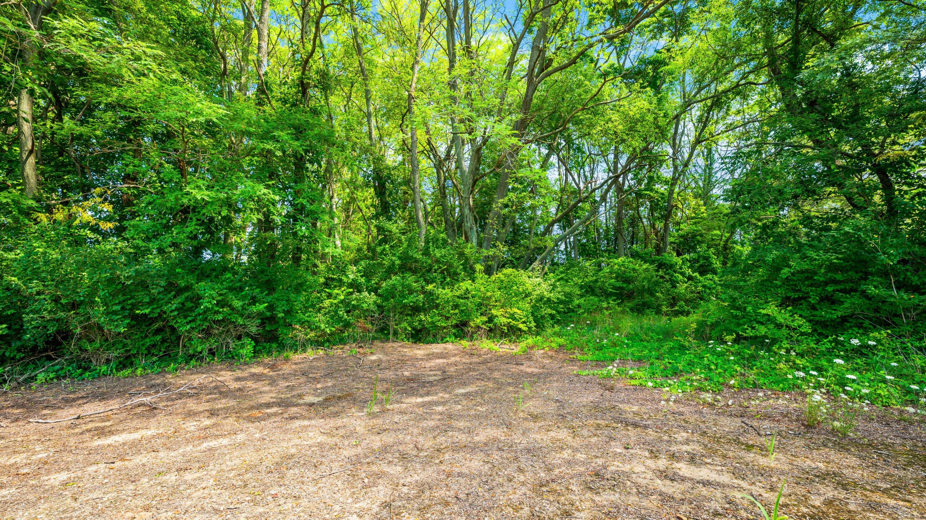12753 Bliss Road Property Photo 37