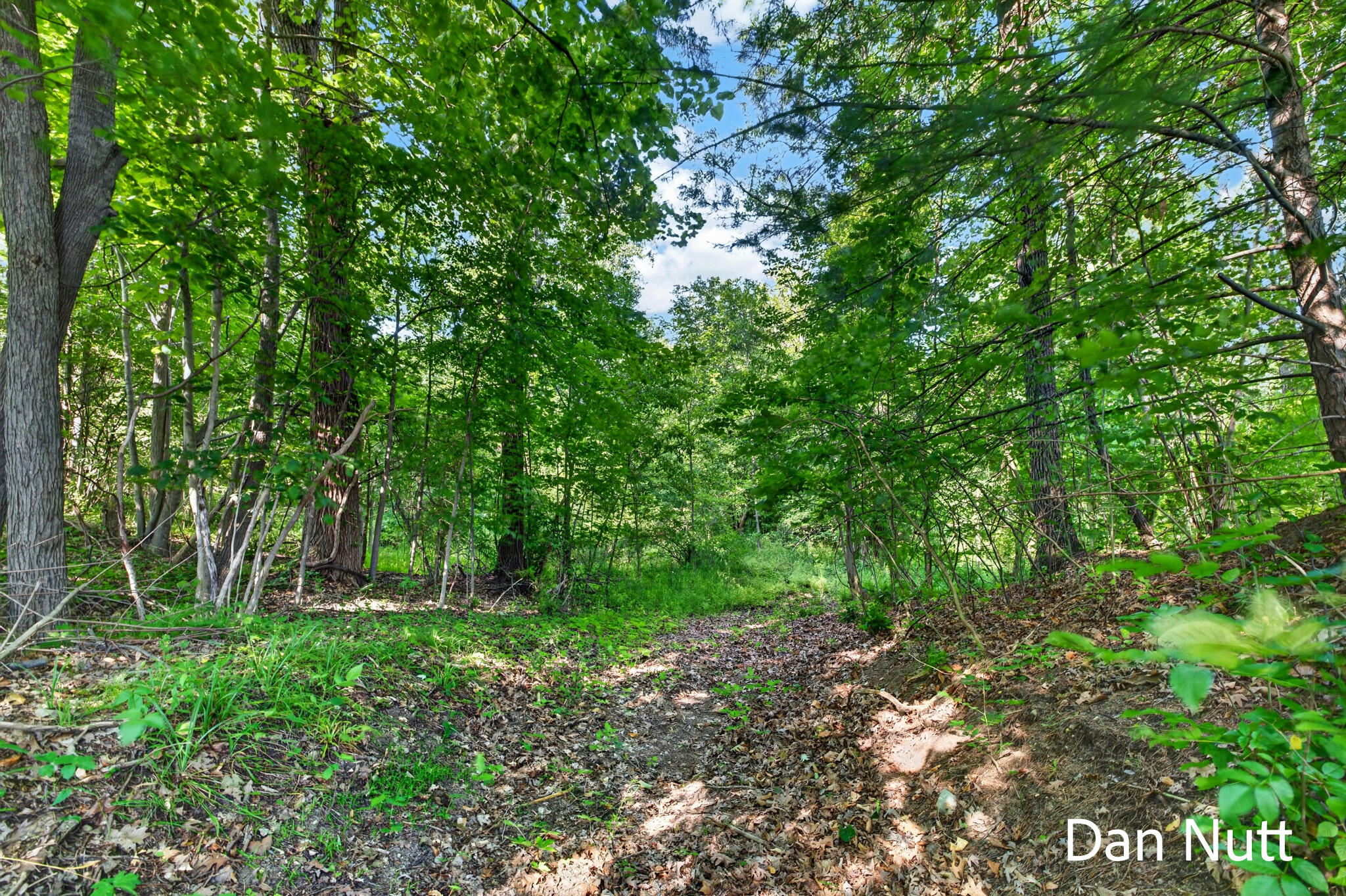 12466 S Maple Island Road Property Photo 46