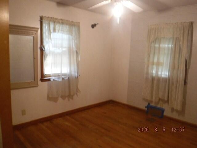 241 Jamesway Property Photo 11