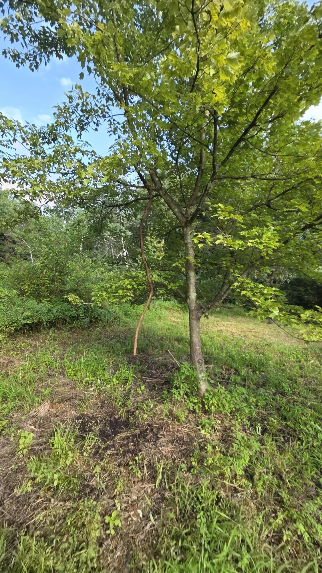 V/l N Q Drive Property Photo 38