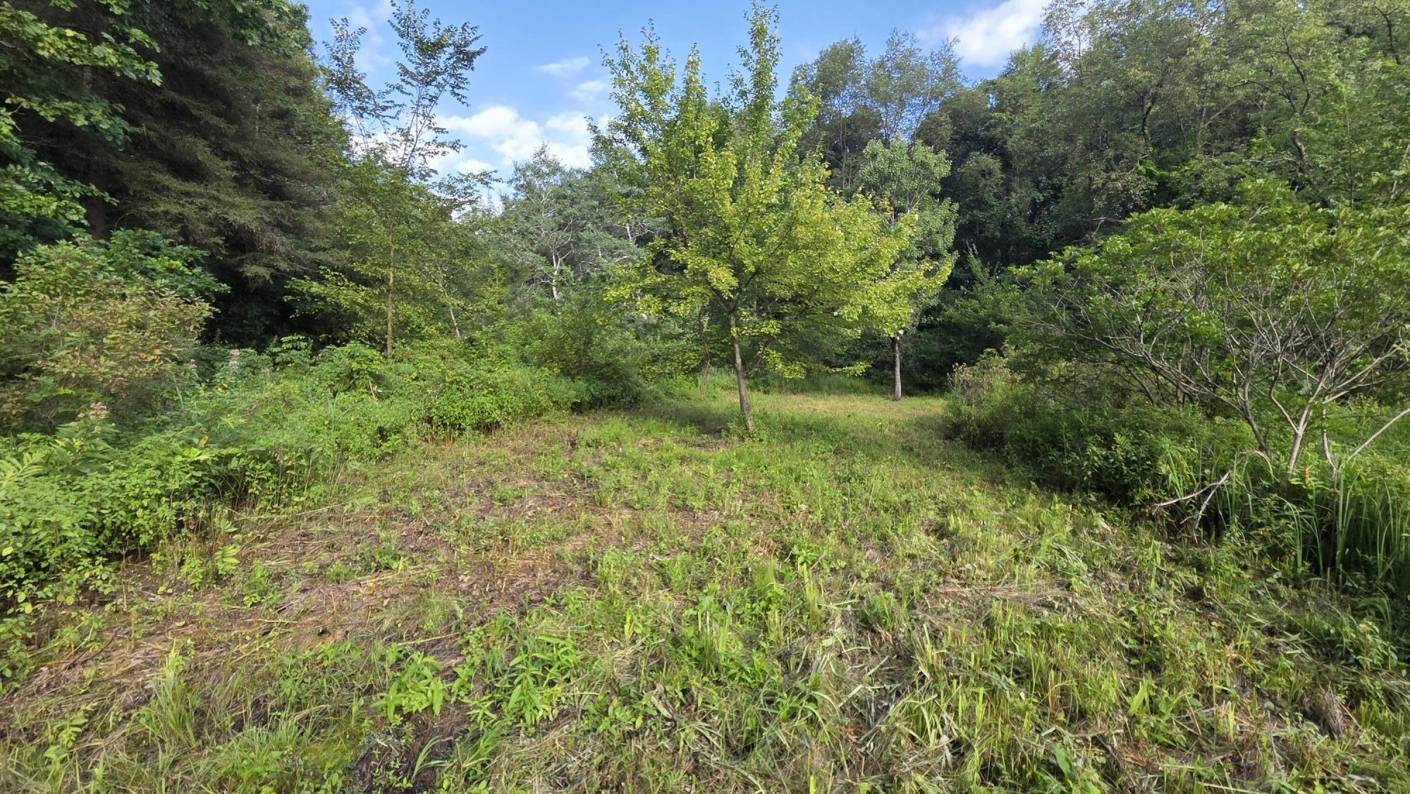 V/l N Q Drive Property Photo 45
