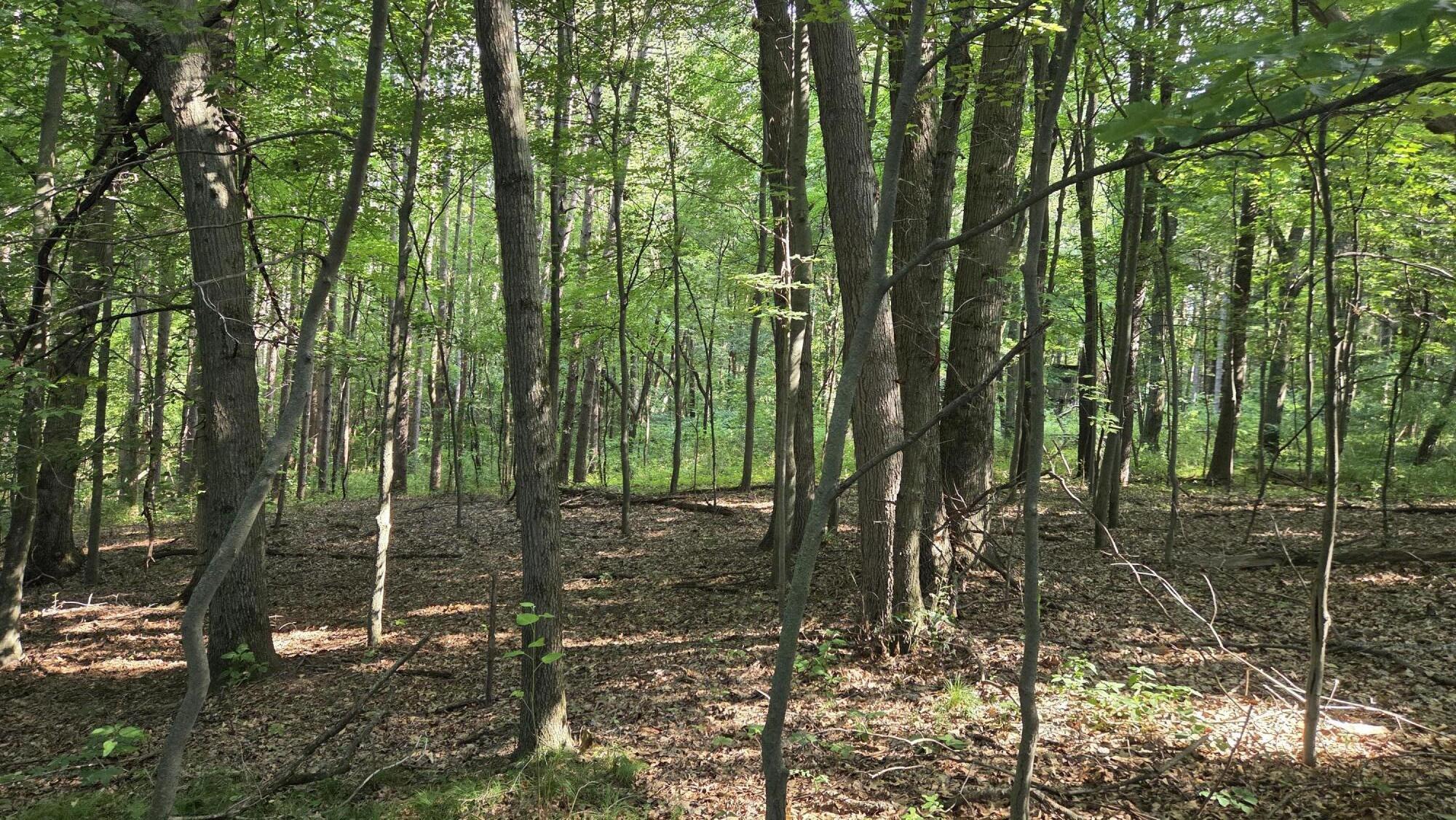 V/l N Q Drive Property Photo 51