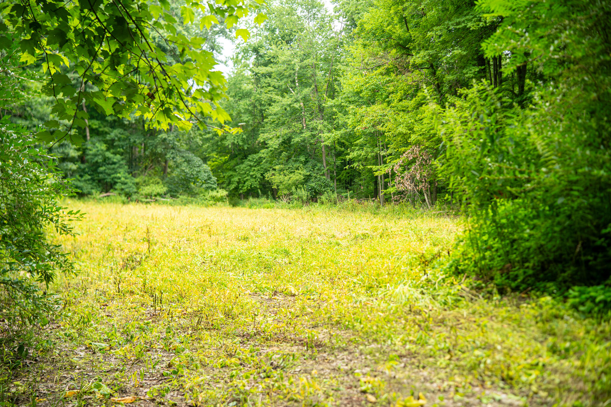 V/l 2000 Ryan Road Property Photo 10