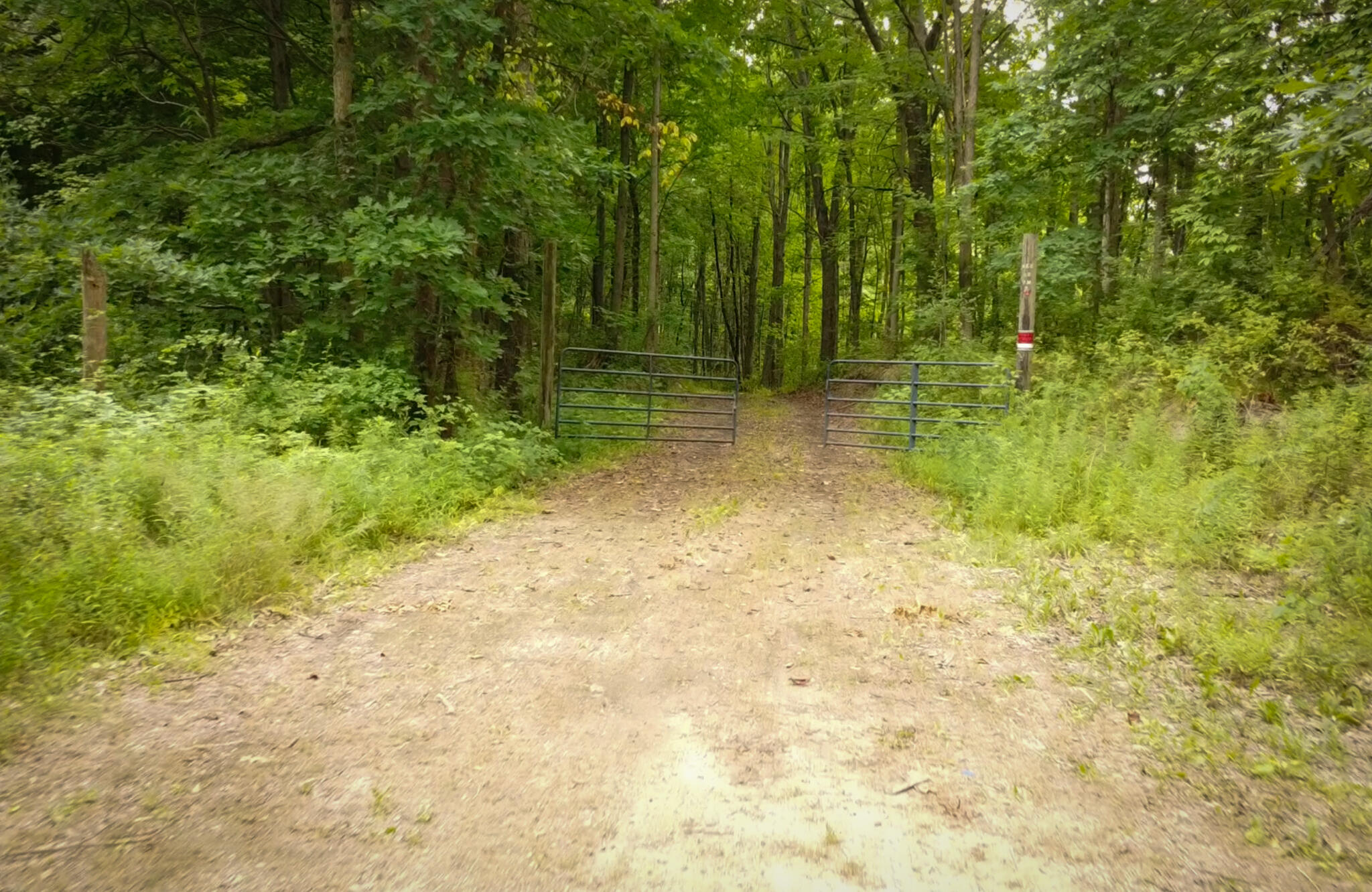 V/l 2000 Ryan Road Property Photo 15