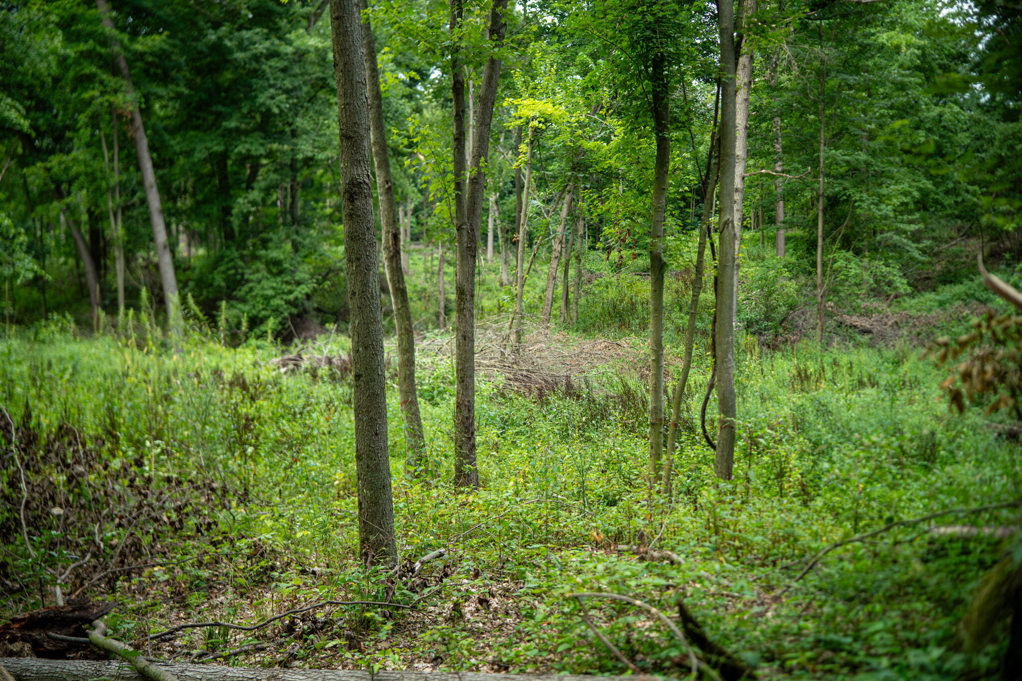 V/l 2000 Ryan Road Property Photo 22