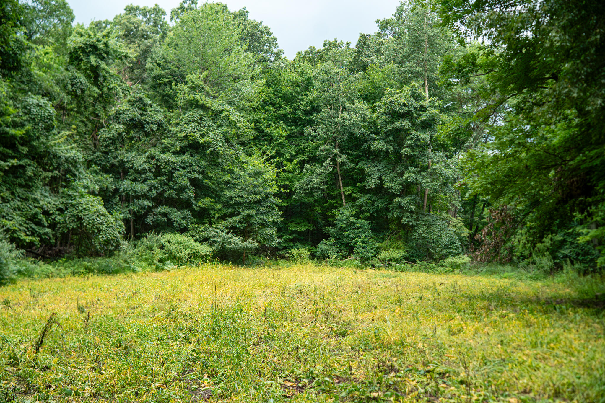 V/l 2000 Ryan Road Property Photo 29