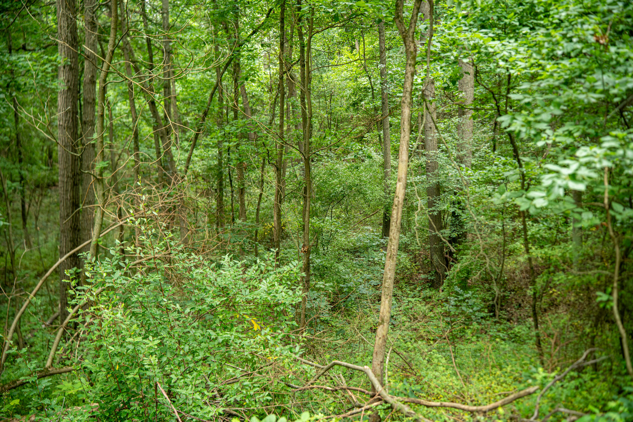 V/l 2000 Ryan Road Property Photo 31