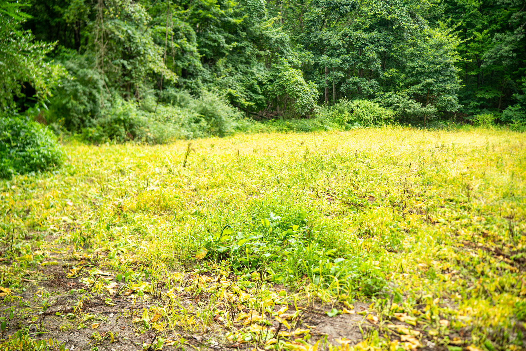 V/l 2000 Ryan Road Property Photo 33