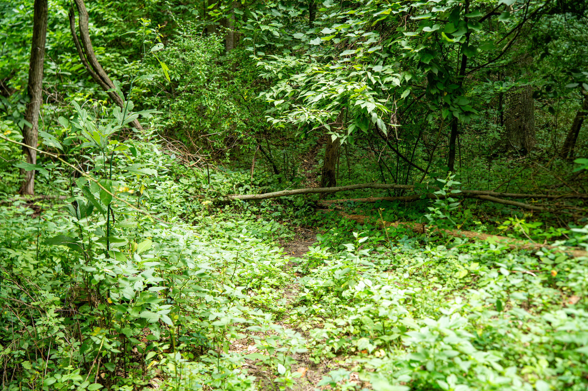 V/l 2000 Ryan Road Property Photo 52
