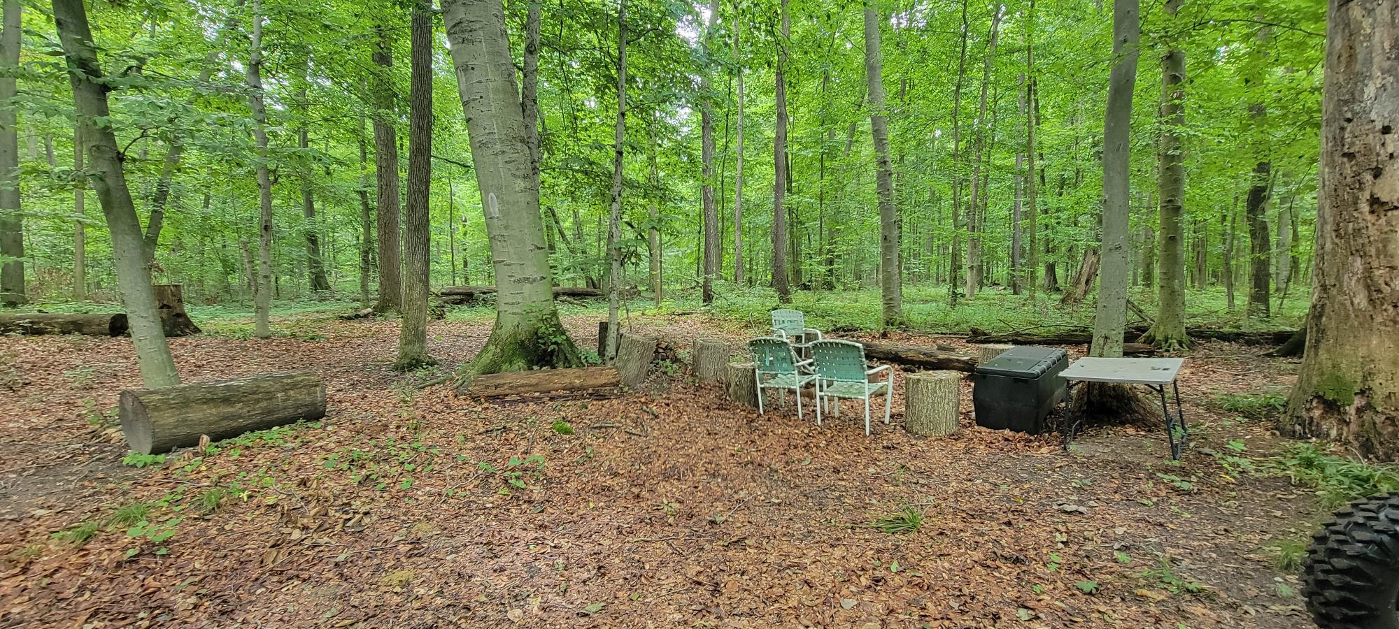 18576 T Drive S Property Photo 44
