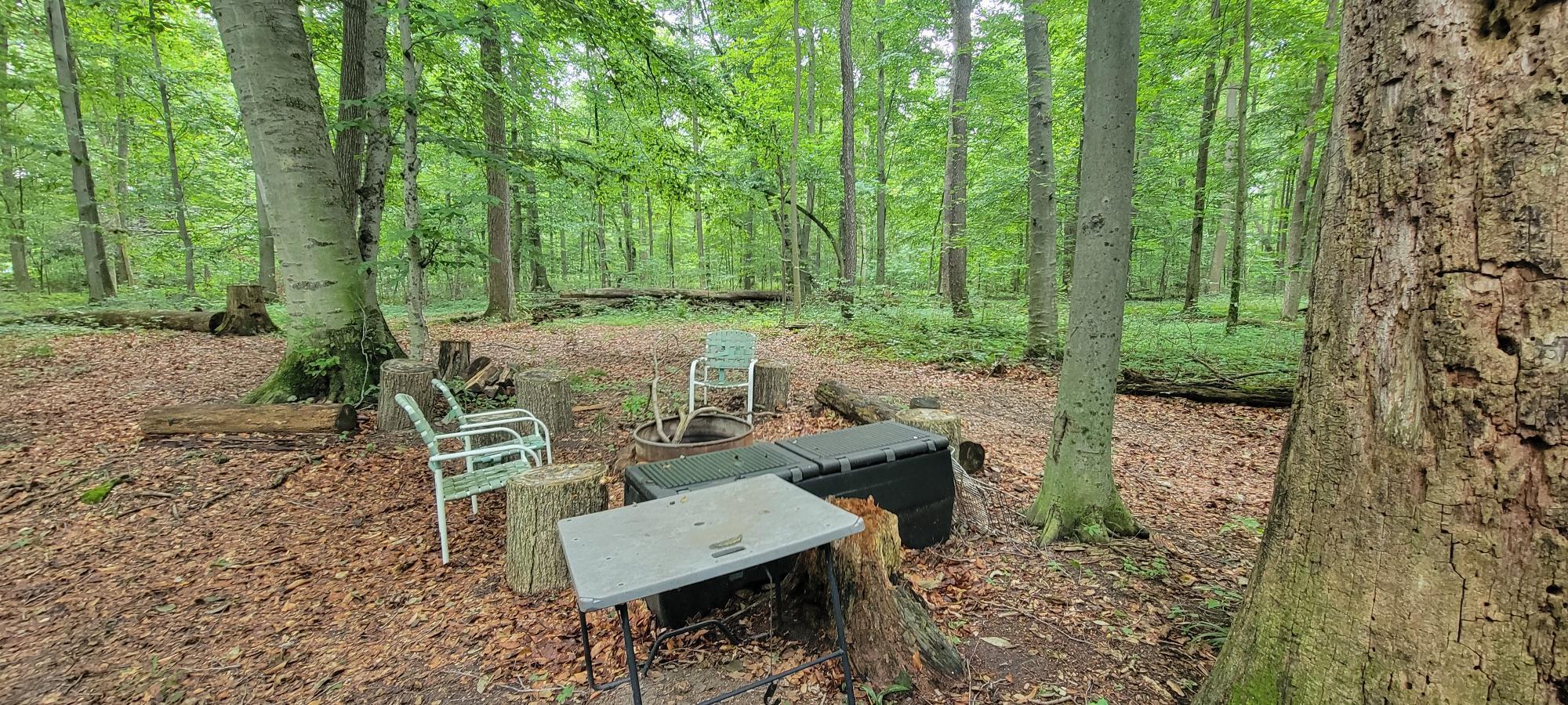 18576 T Drive S Property Photo 45