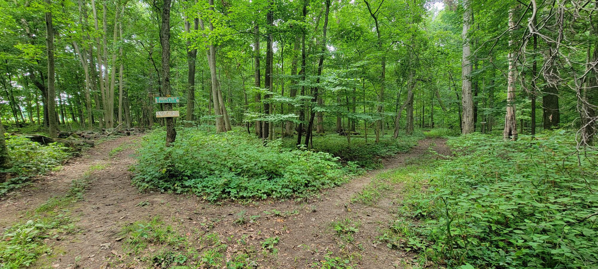 18576 T Drive S Property Photo 46