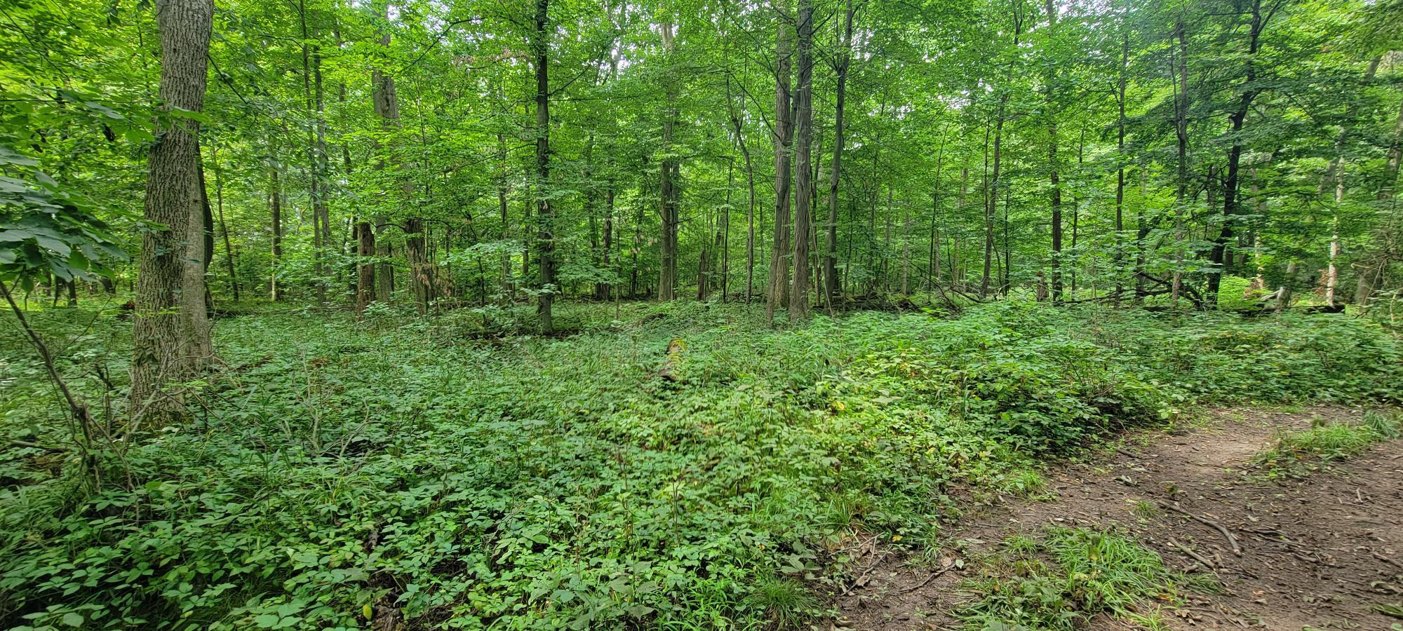 18576 T Drive S Property Photo 48