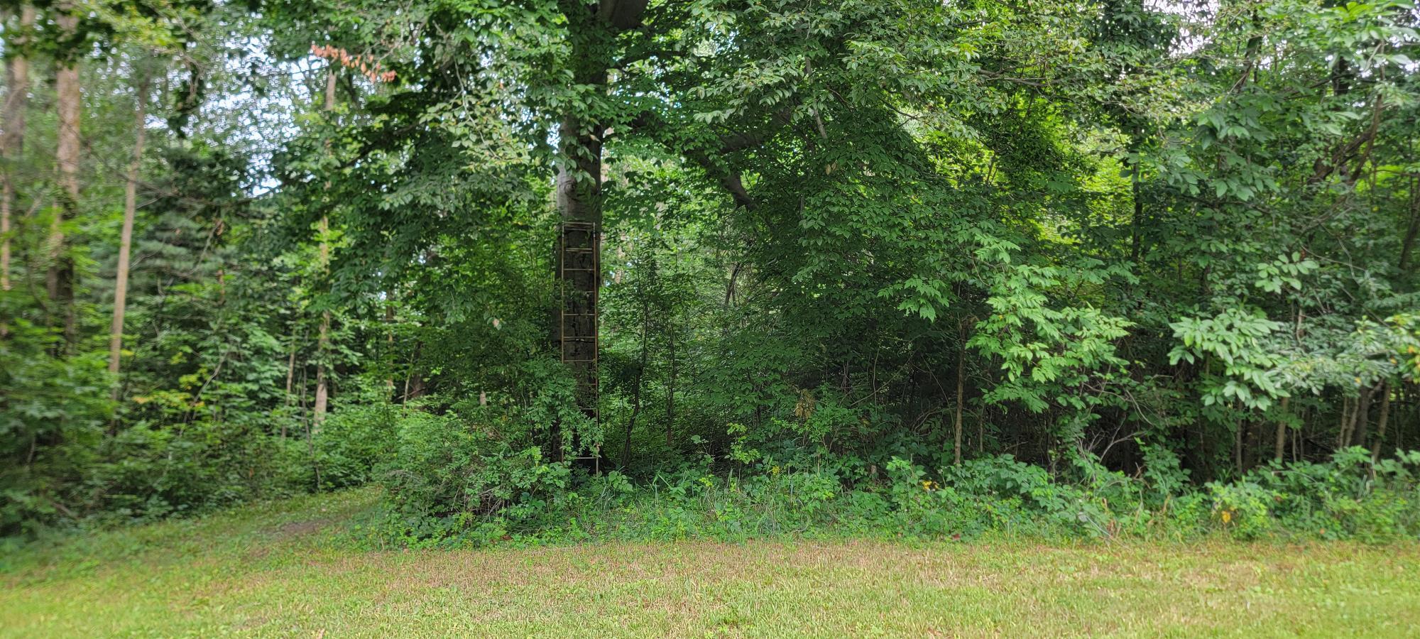 18576 T Drive S Property Photo 58