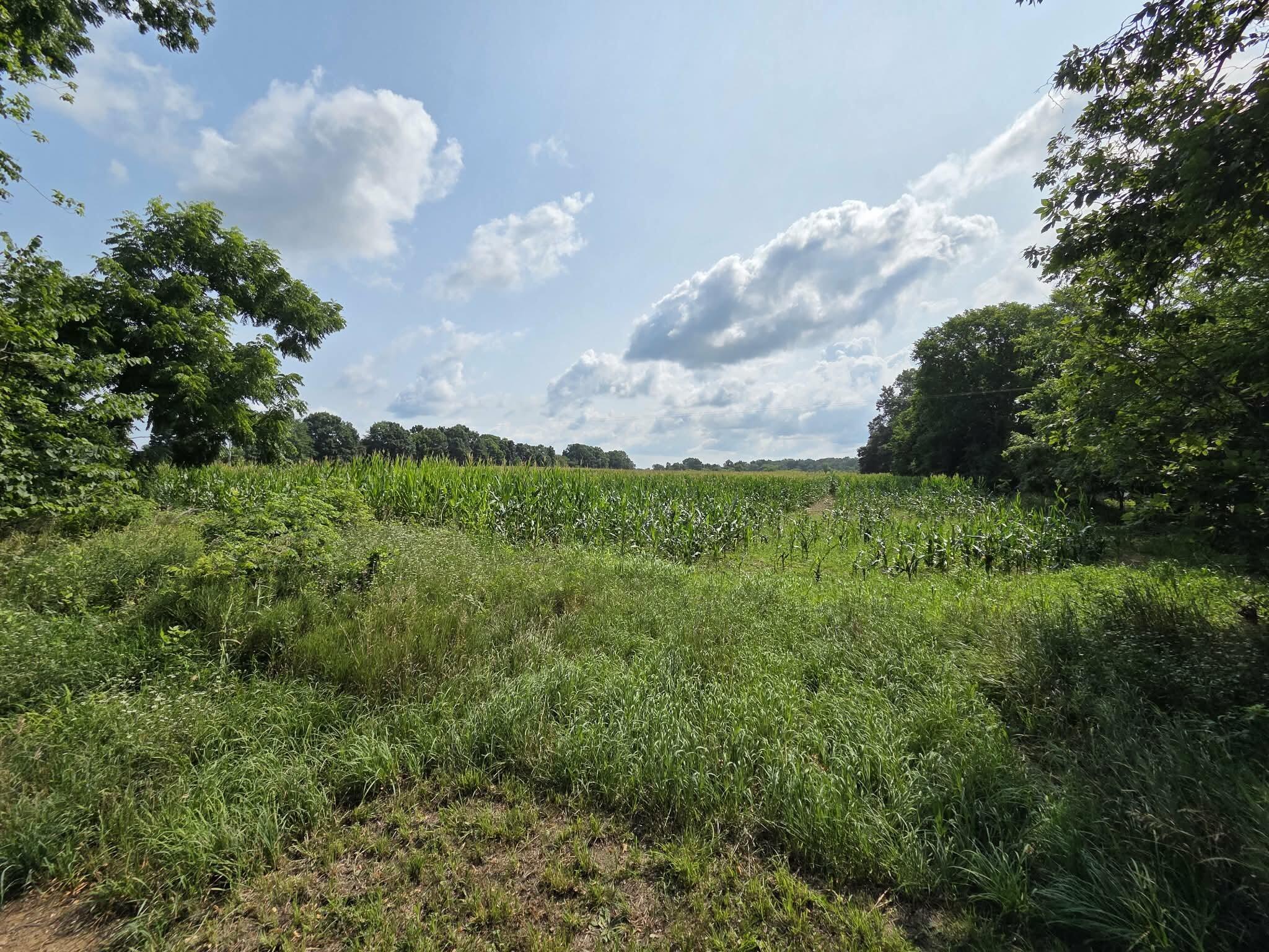 13 Mile Rd (parcel 5) Property Photo 1